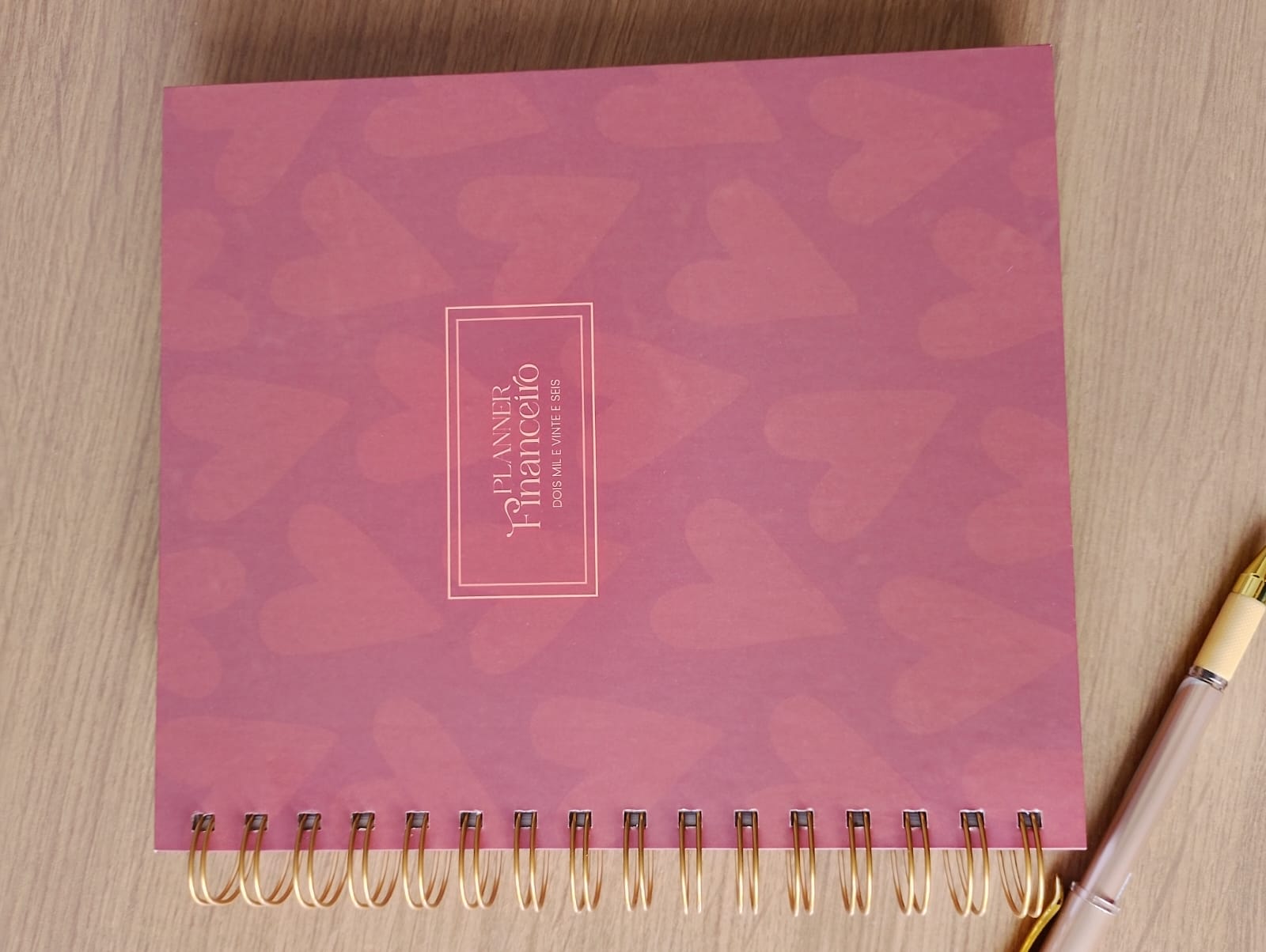 Planner financeiro marrom