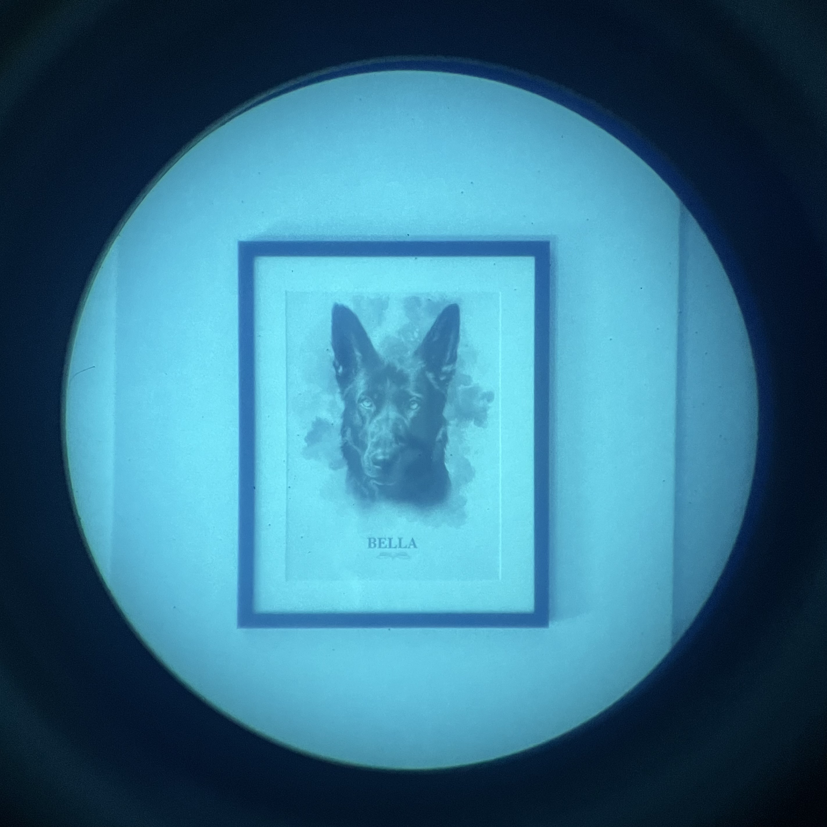 Alquiler Monocular Gen 2+ NNVT5