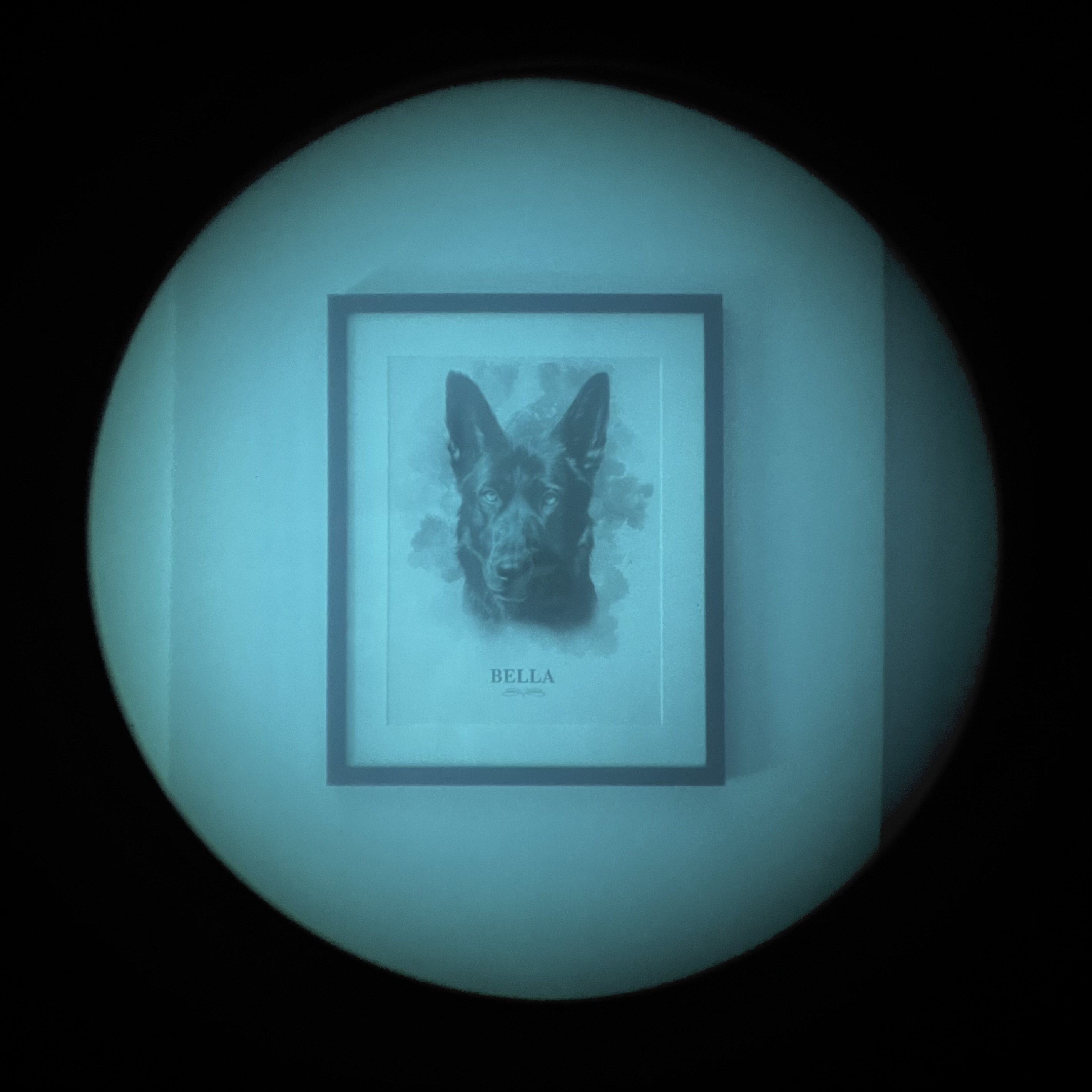 Alquiler de visores nocturnos