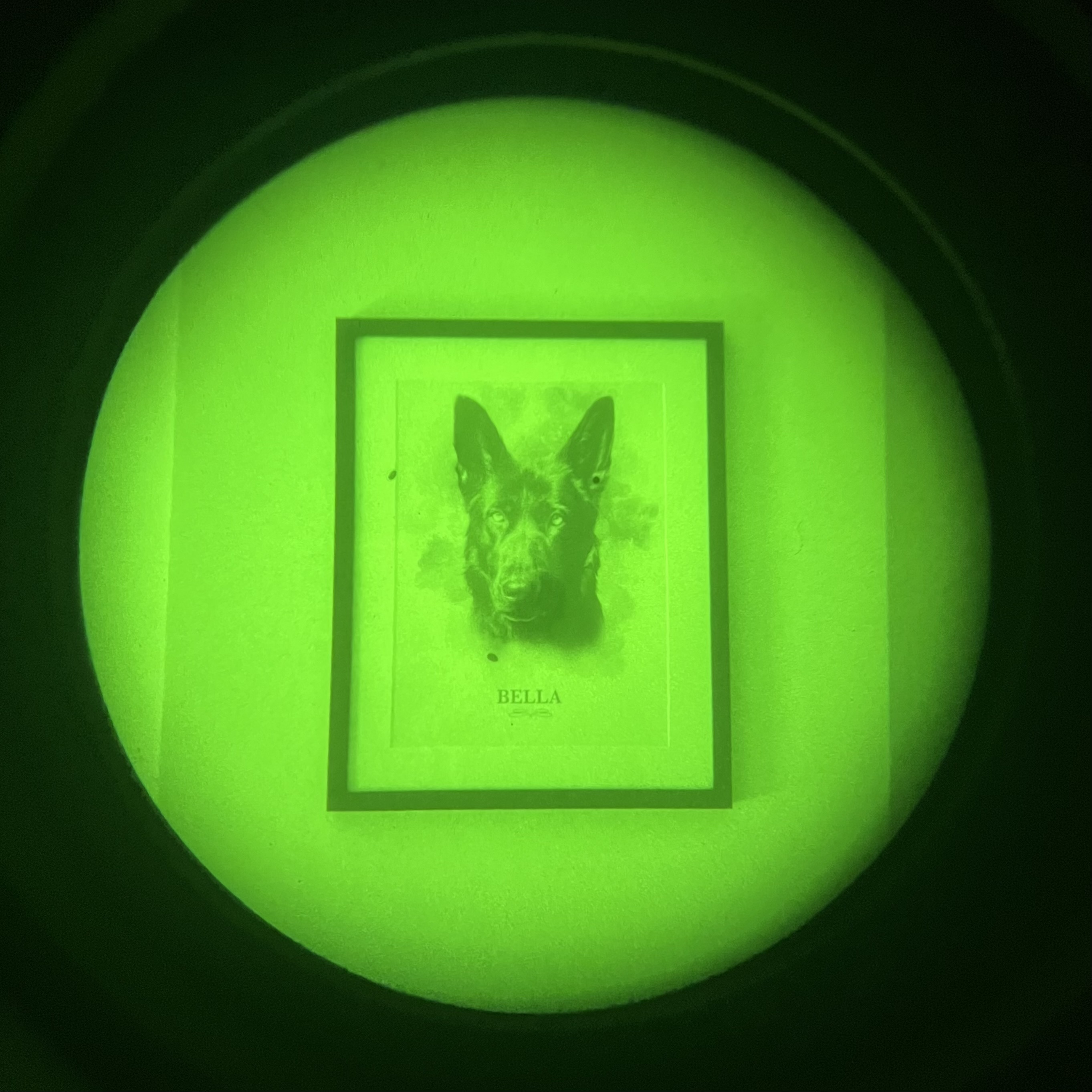 Alquiler Binocular Gen 3 Litton