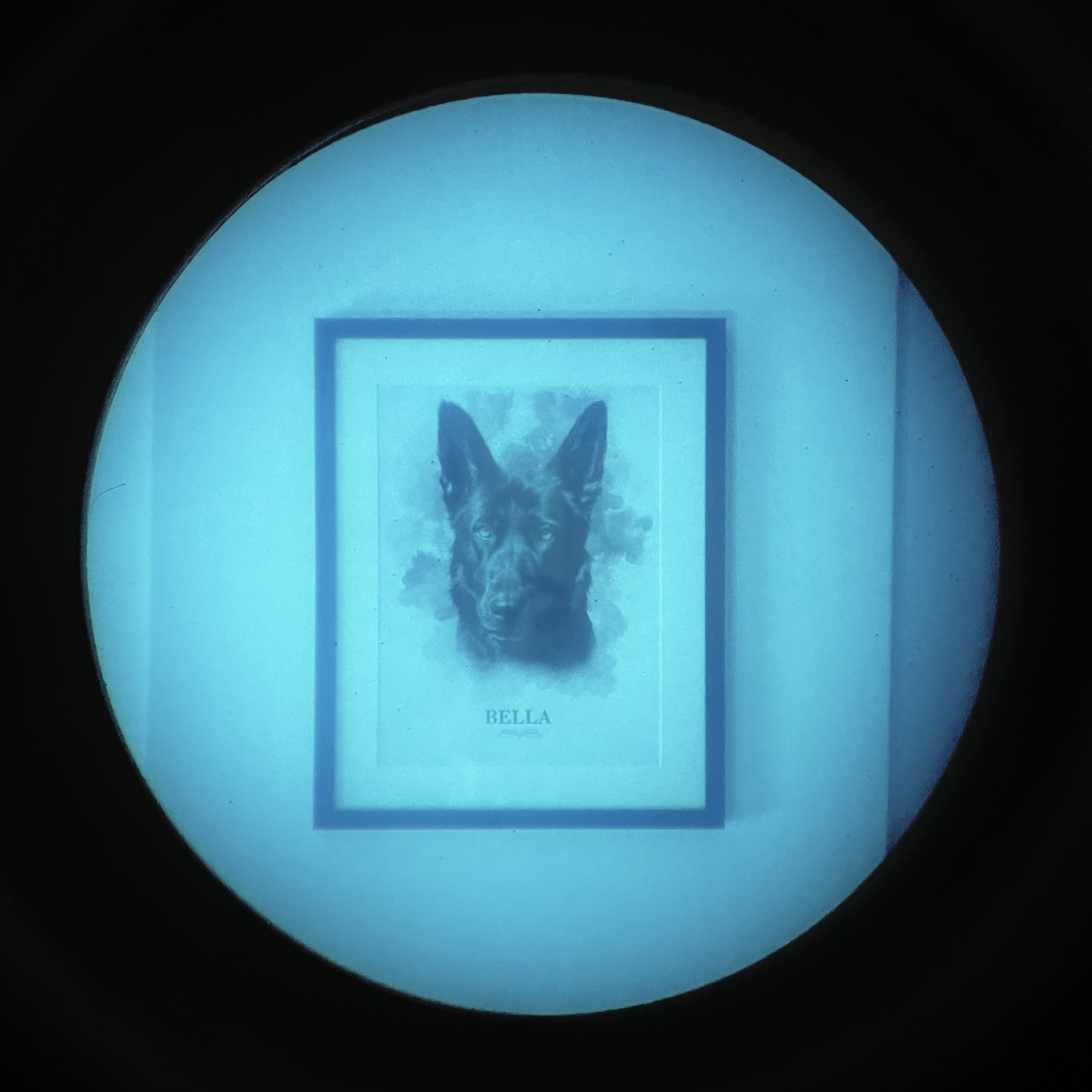 Alquiler de visores nocturnos