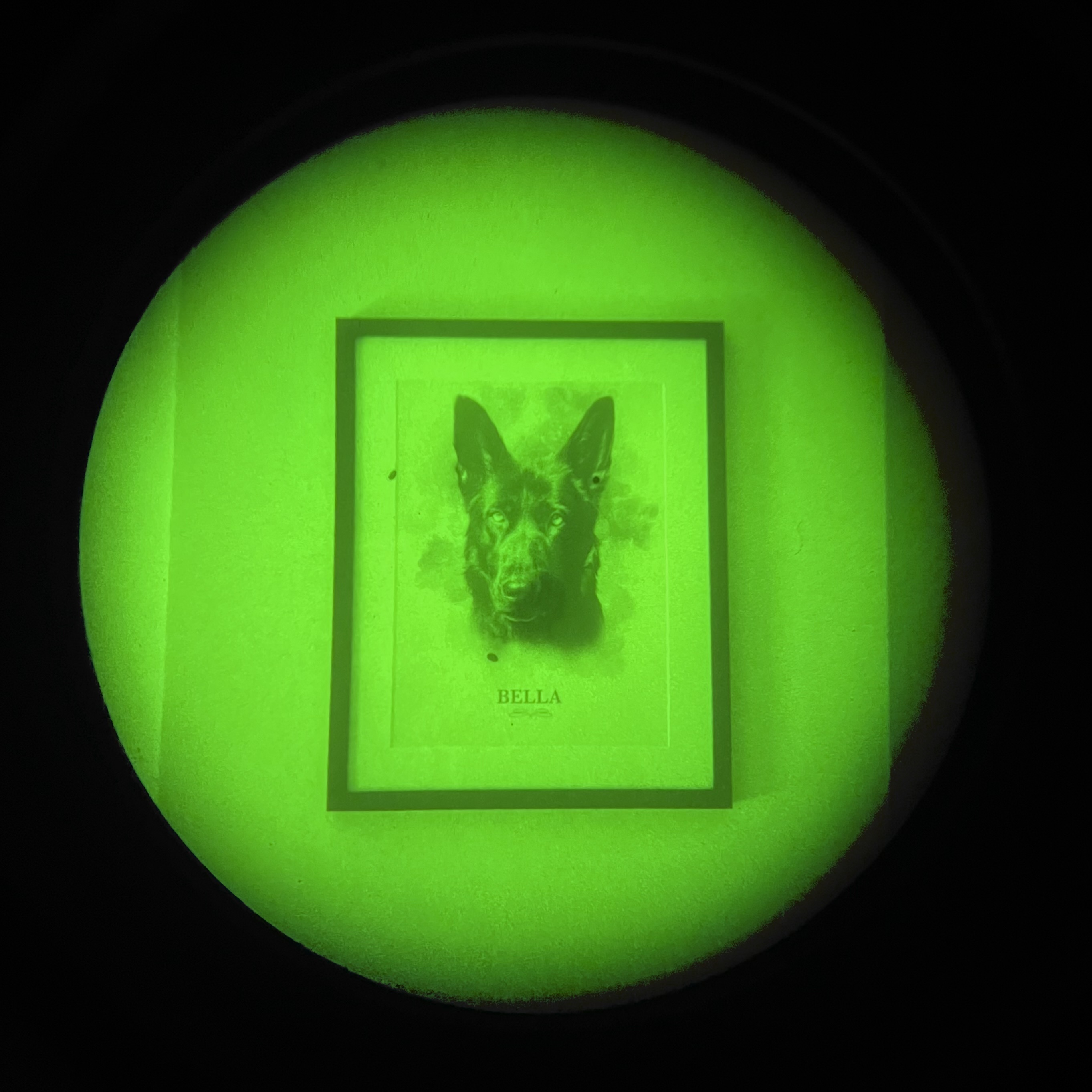 Alquiler Binocular Gen 3 Litton