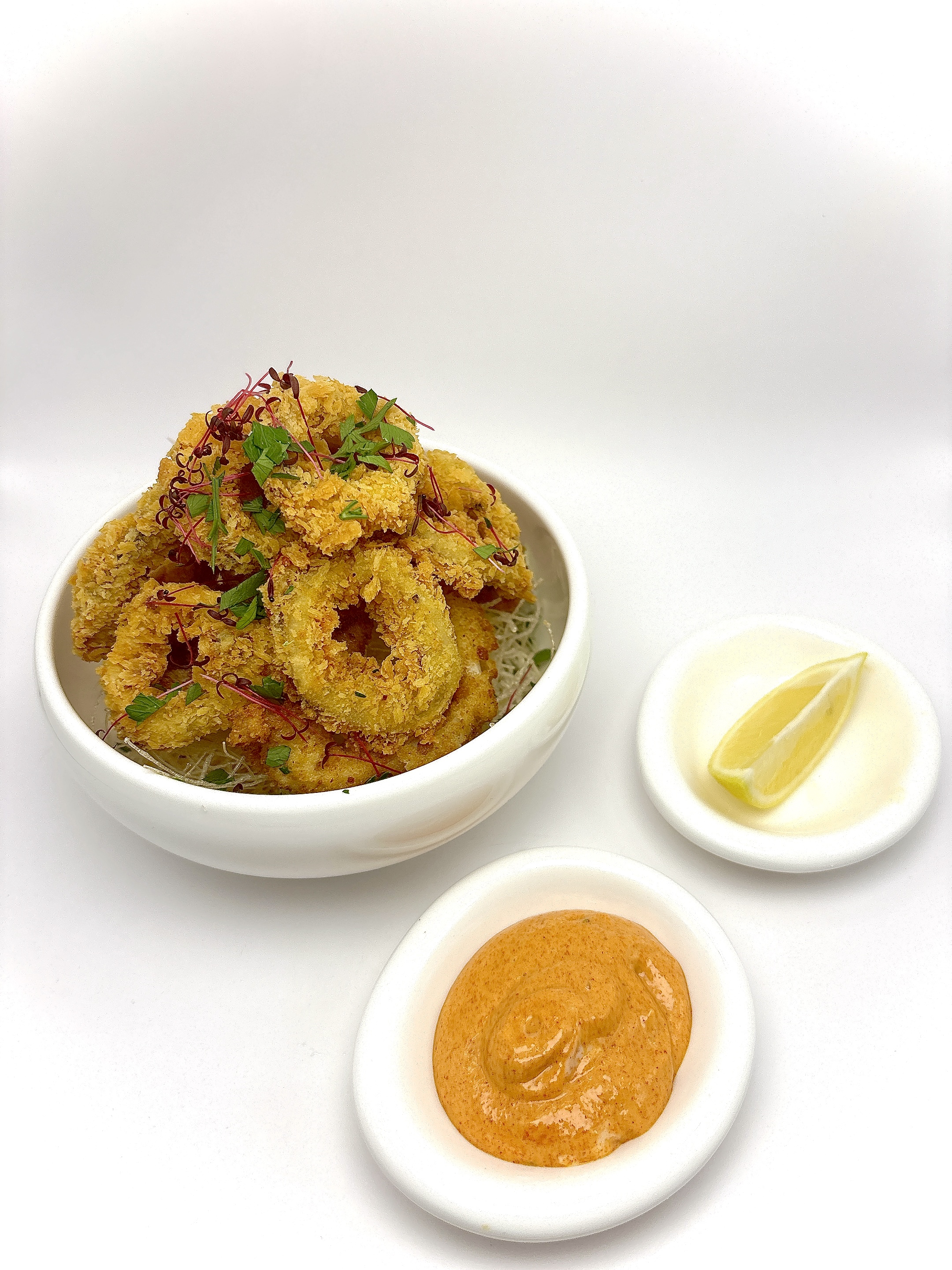 Fried Calamari