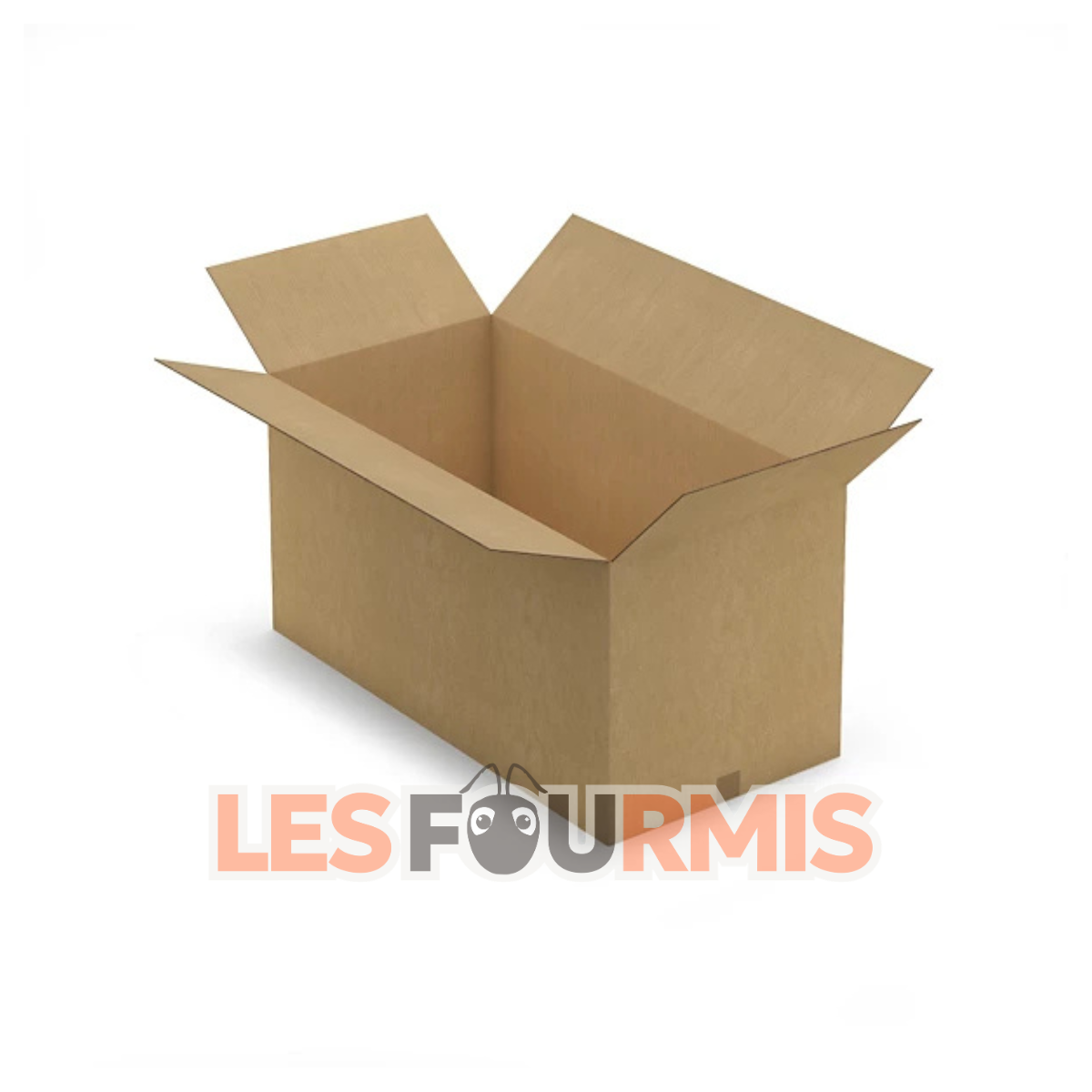 Large carton, 100x50x50 cm