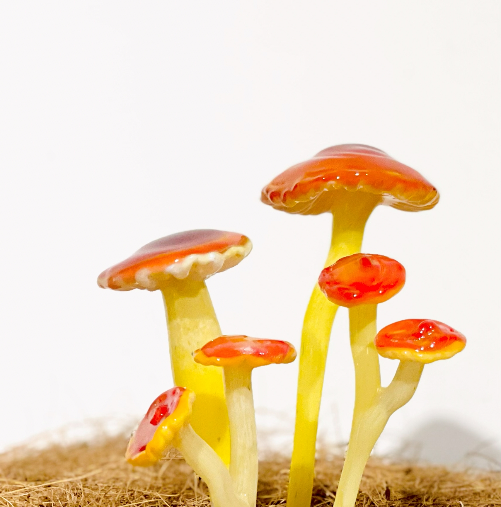 Glass Mushroom Figurines