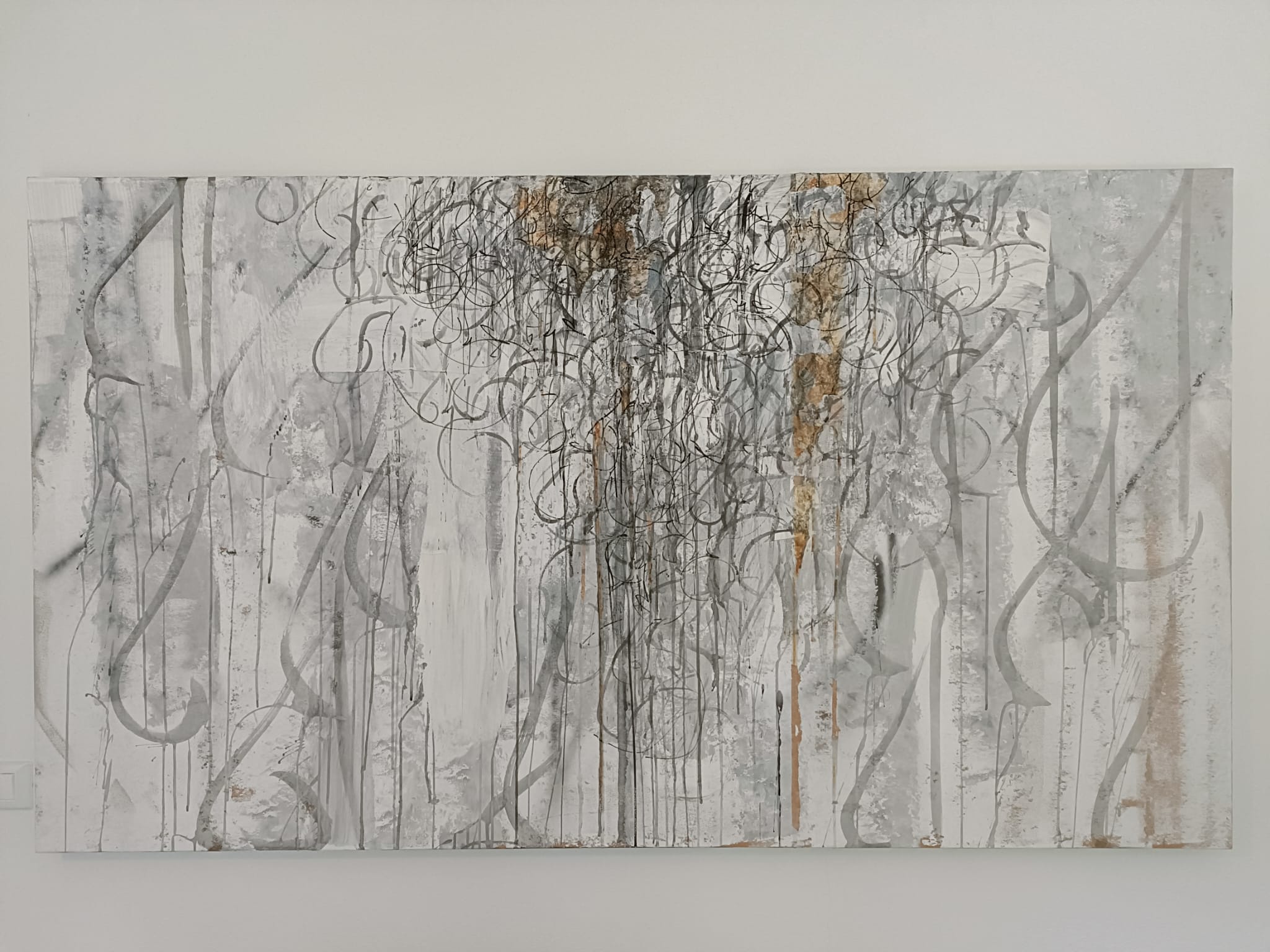 Black and White Fight