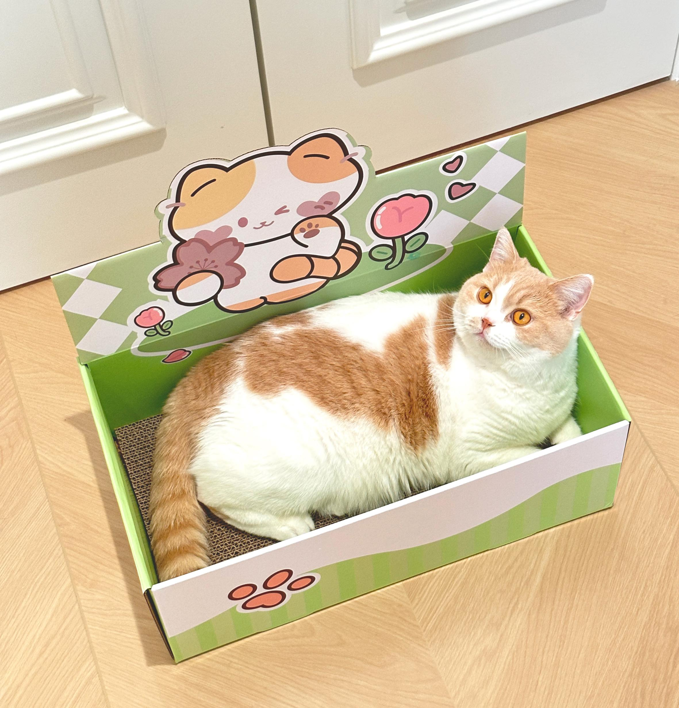 Cat Lounger Scratching Board