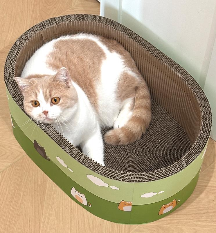 Various styles corrugated paper cat scratching posts