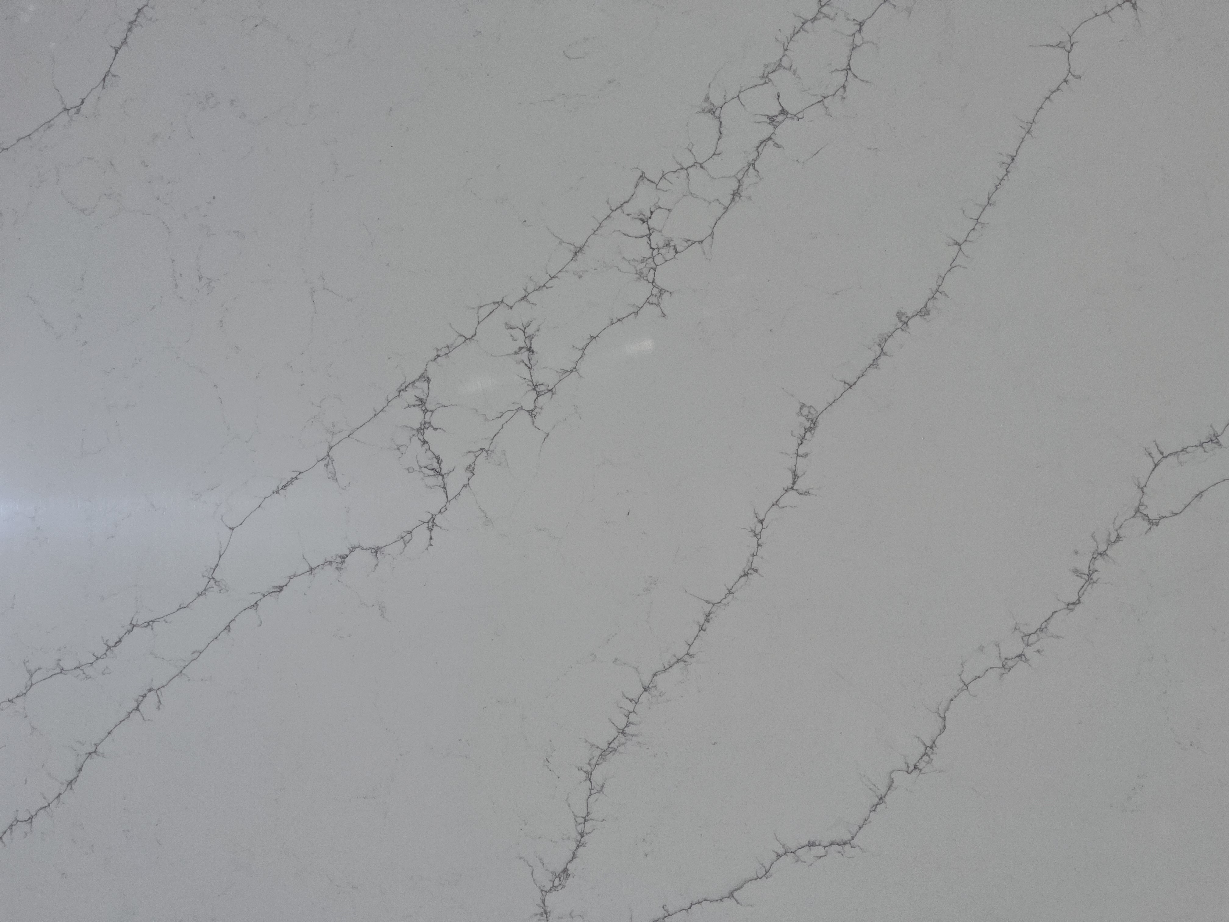 Calacatta Venice Quartz Slab