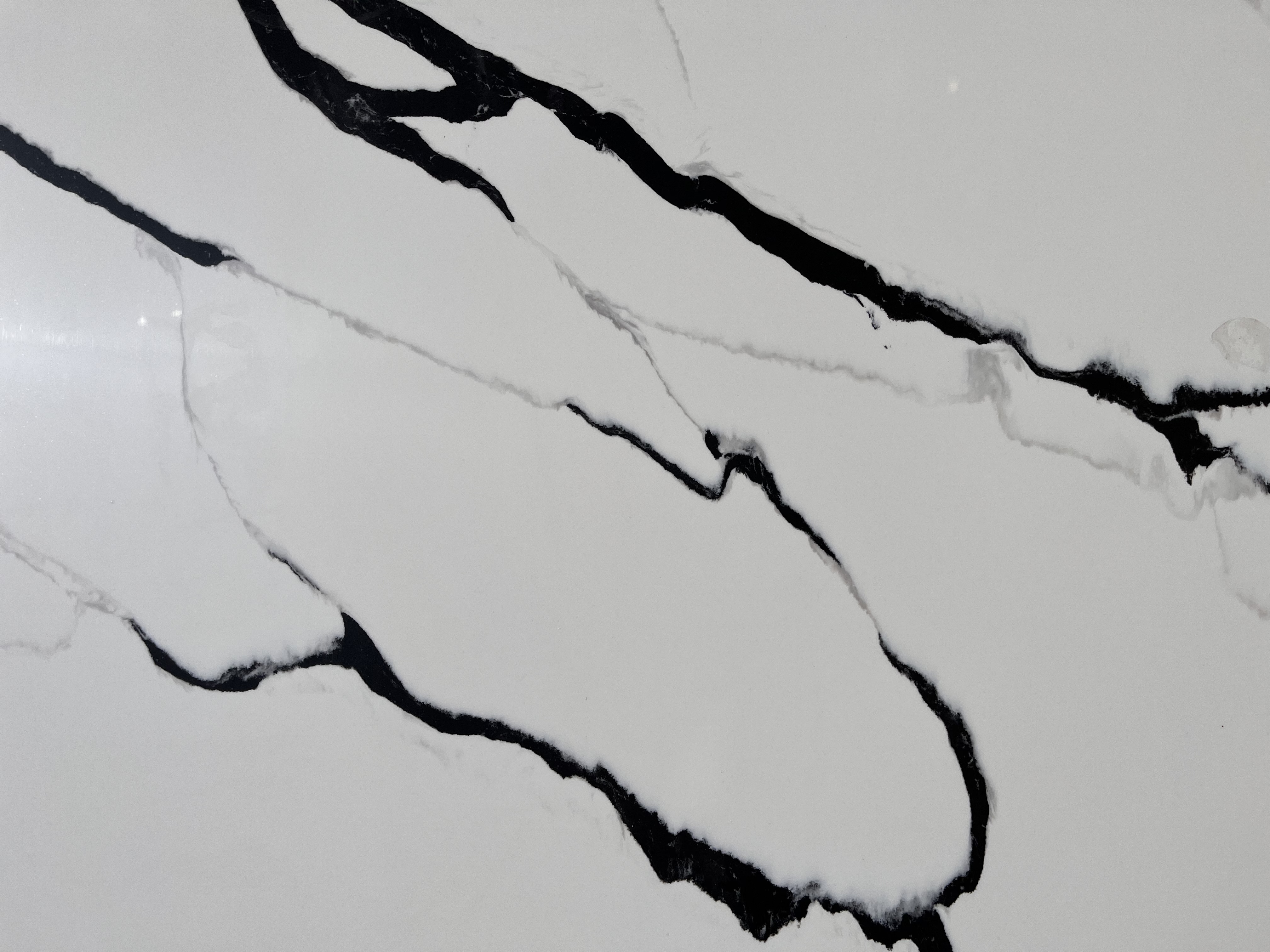Calacatta Black Quartz Slab