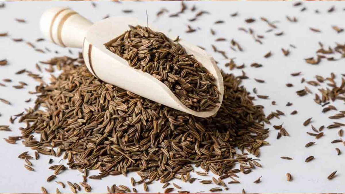 Organic Cumin Seeds 
