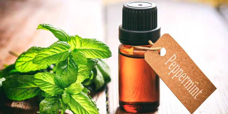 Peppermint oil