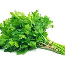 Coriander 