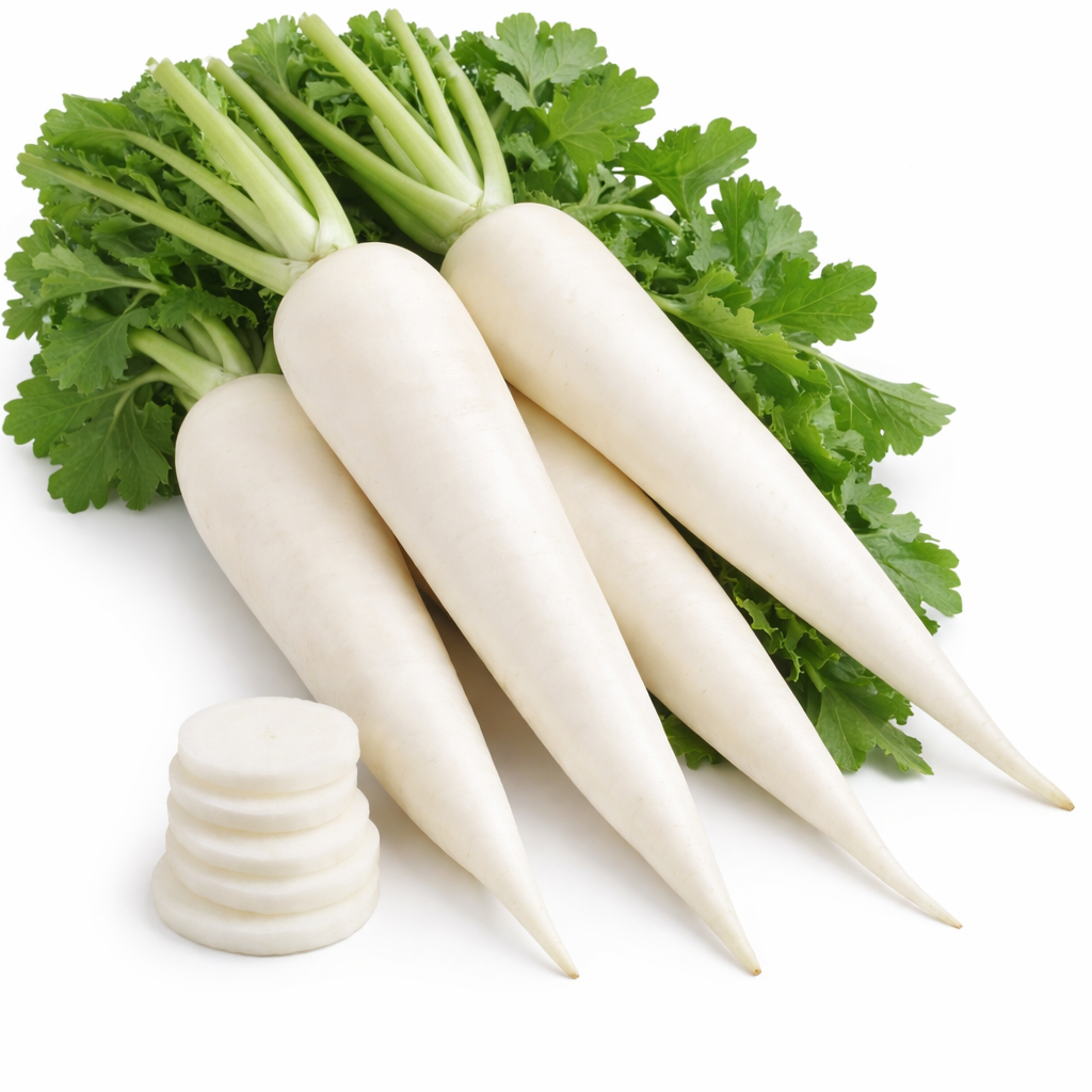  White Radish - મૂળા