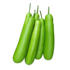 Bottle Gourd