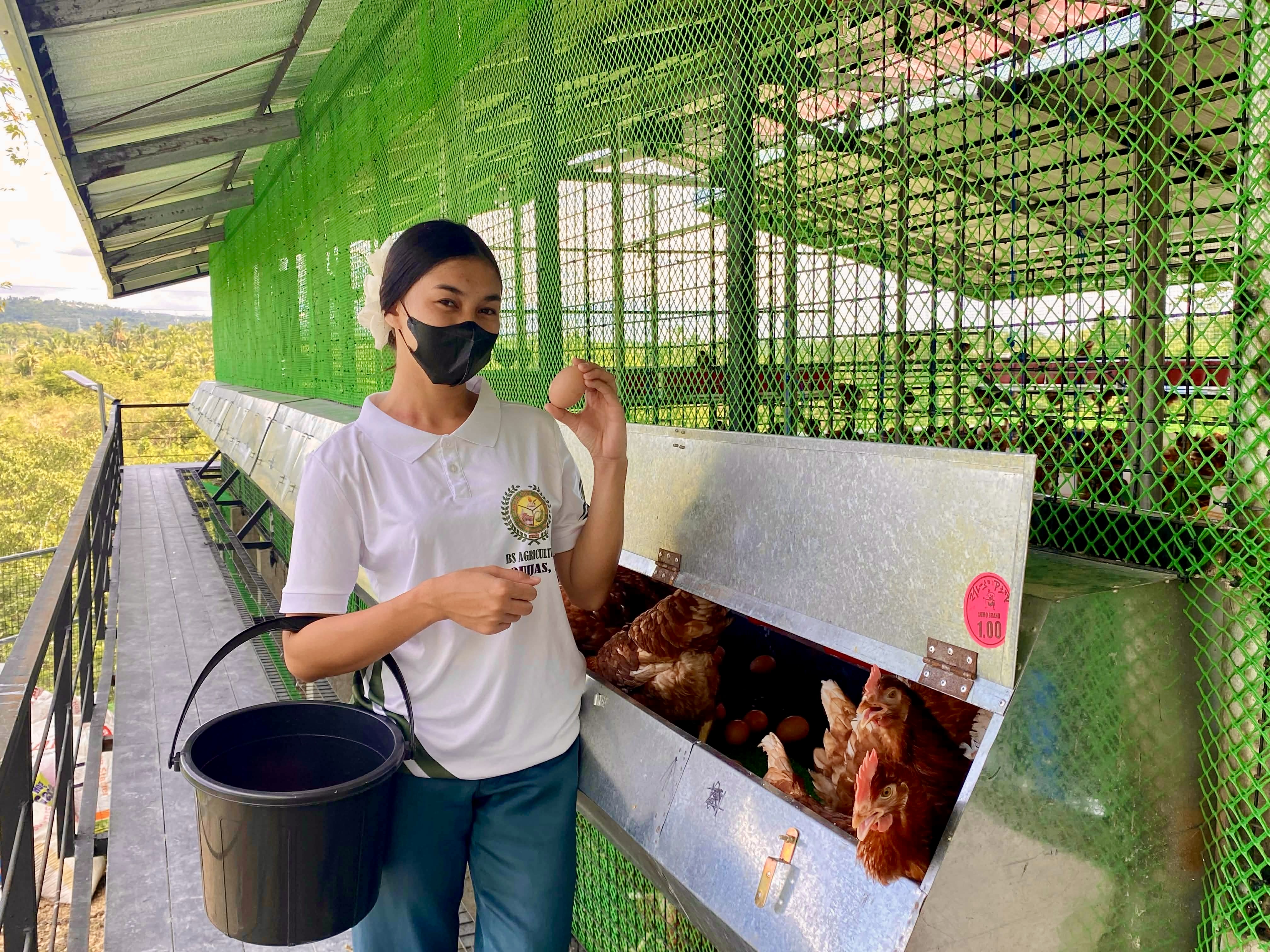 Fresh Farm, Cage-Free Brown Eggs