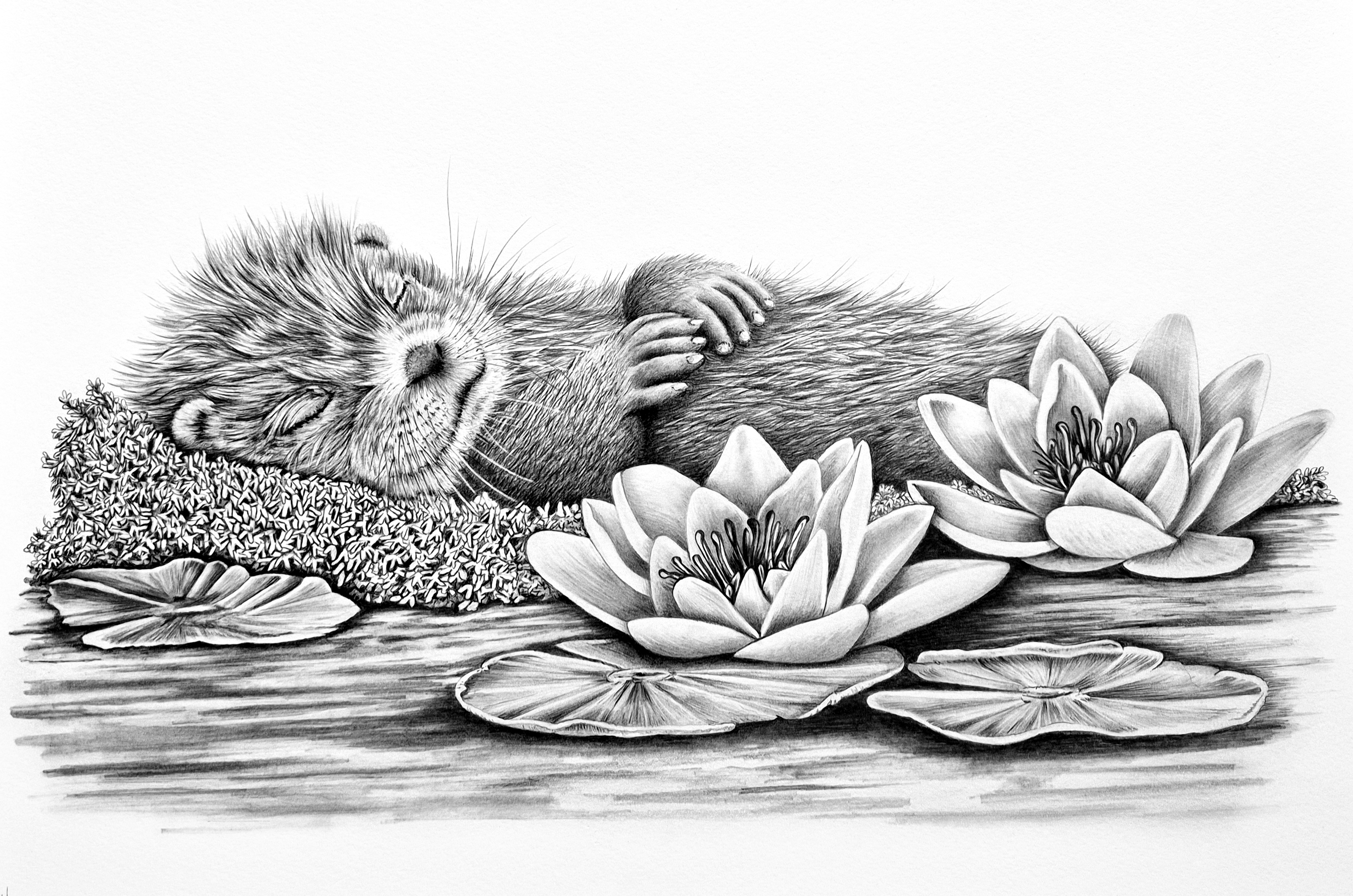 The Cradle of Serenity