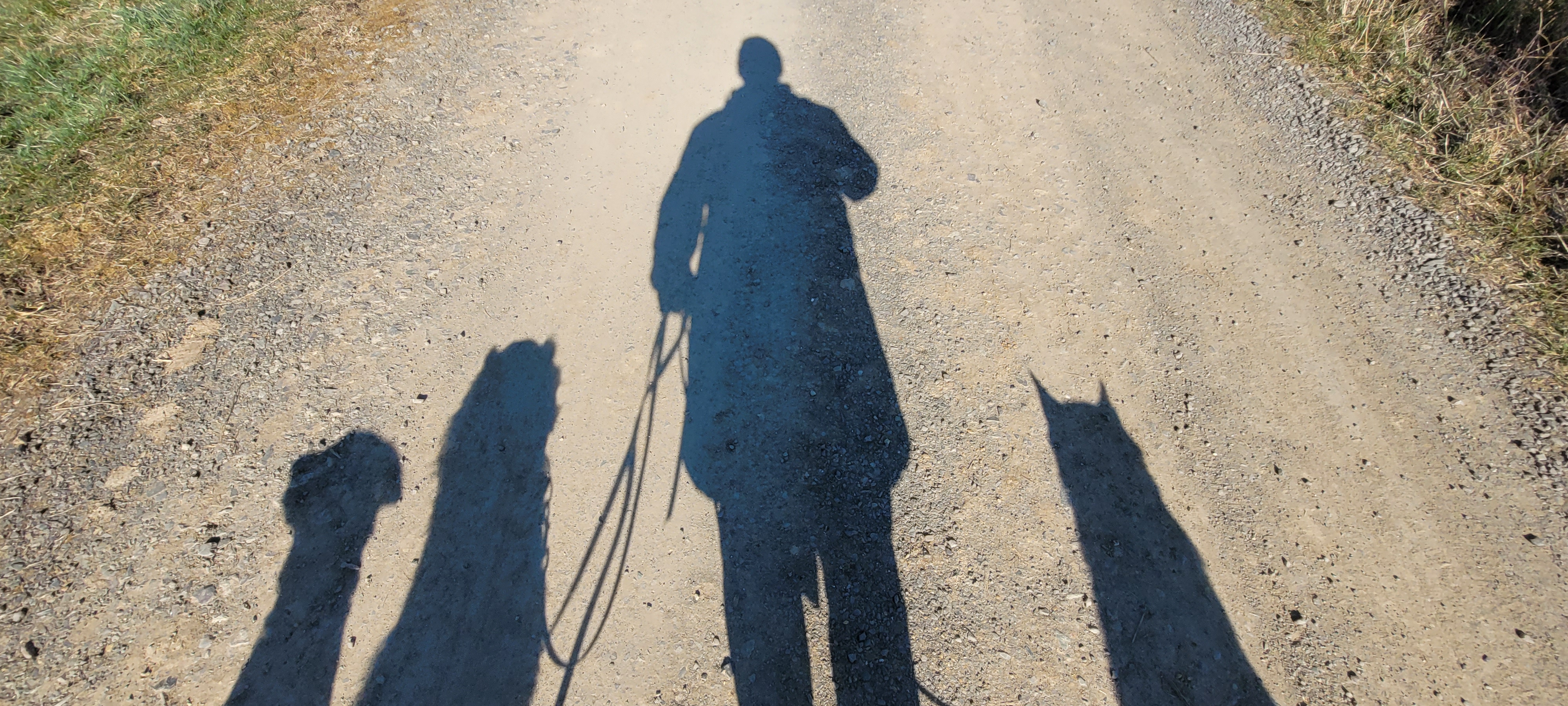 Erziehungskurs "die klääne Hunsrückpfote"