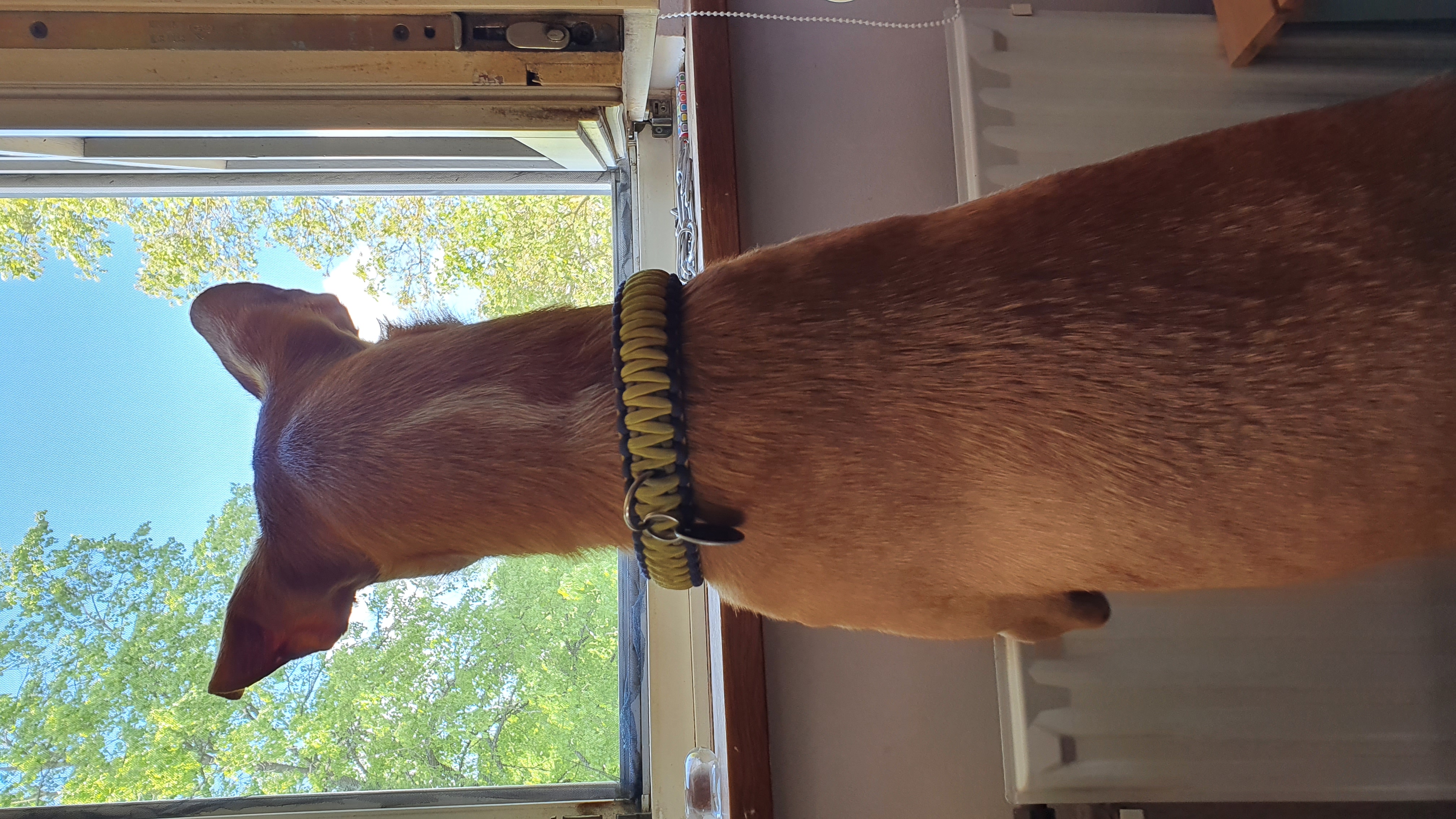 Einzelberatung vereinbaren 