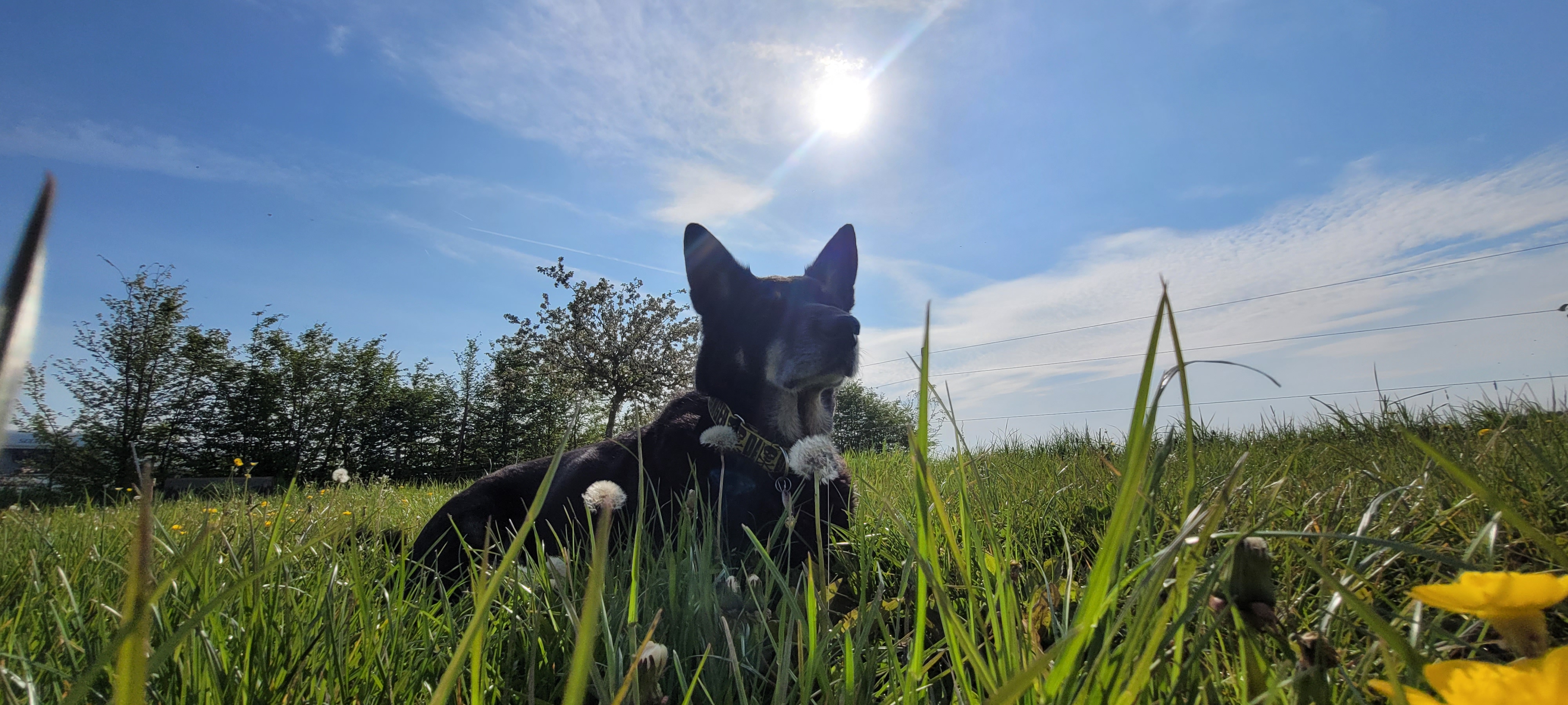 Erziehungskurs "mir mache de Määster"