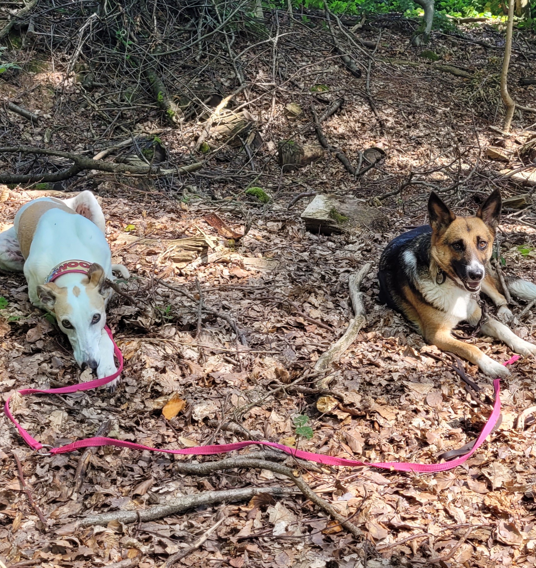 Erziehungskurs "eh looh fänge mir aan"