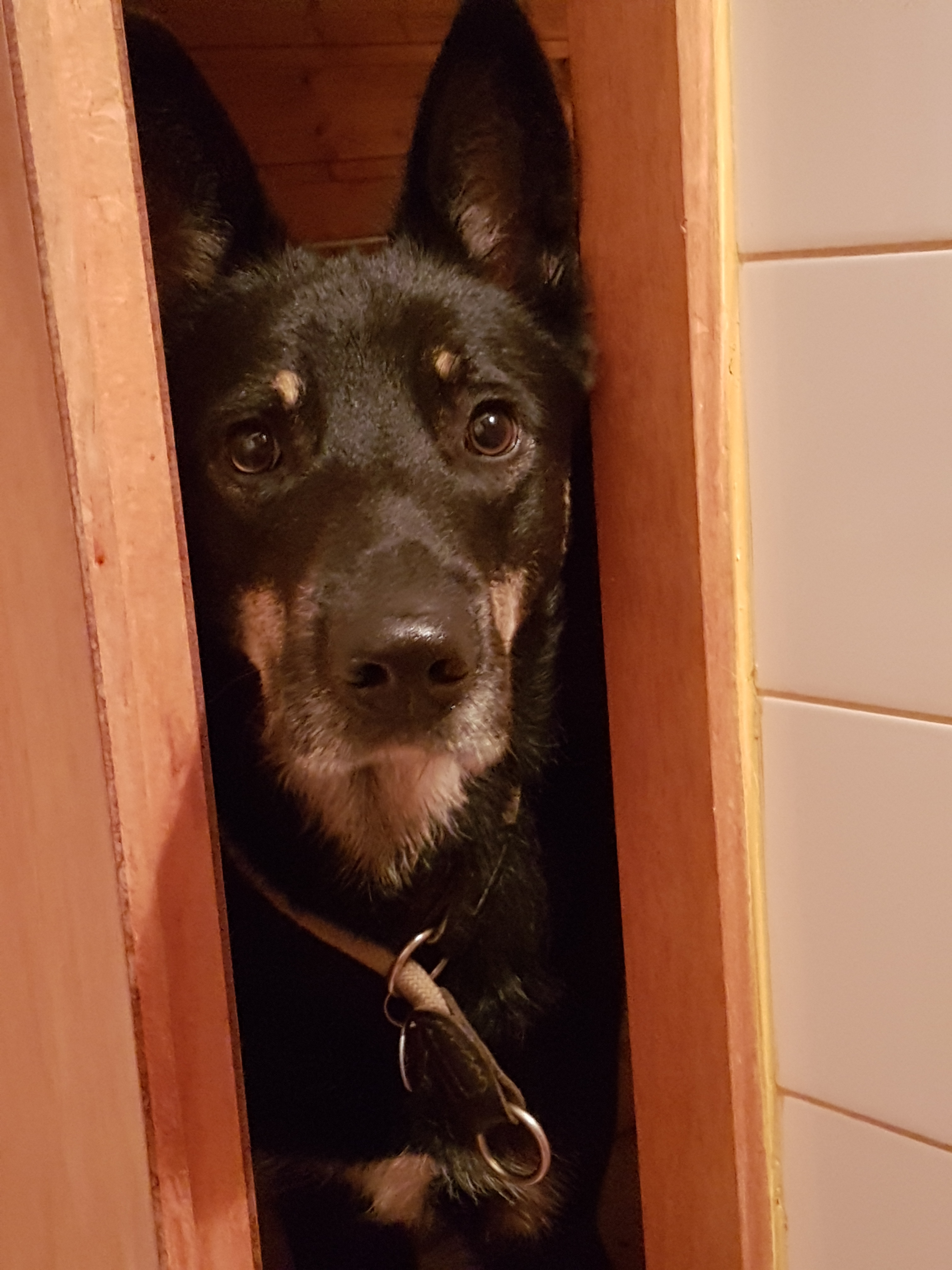 Erziehungskurs "mir bleiwe draan"