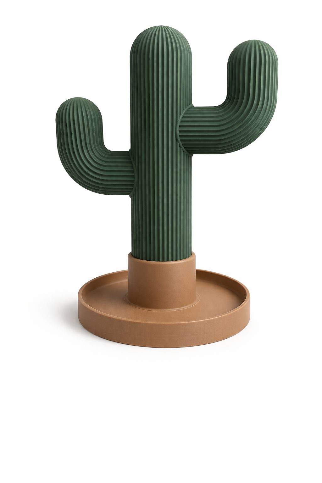 Organizador CACTUS