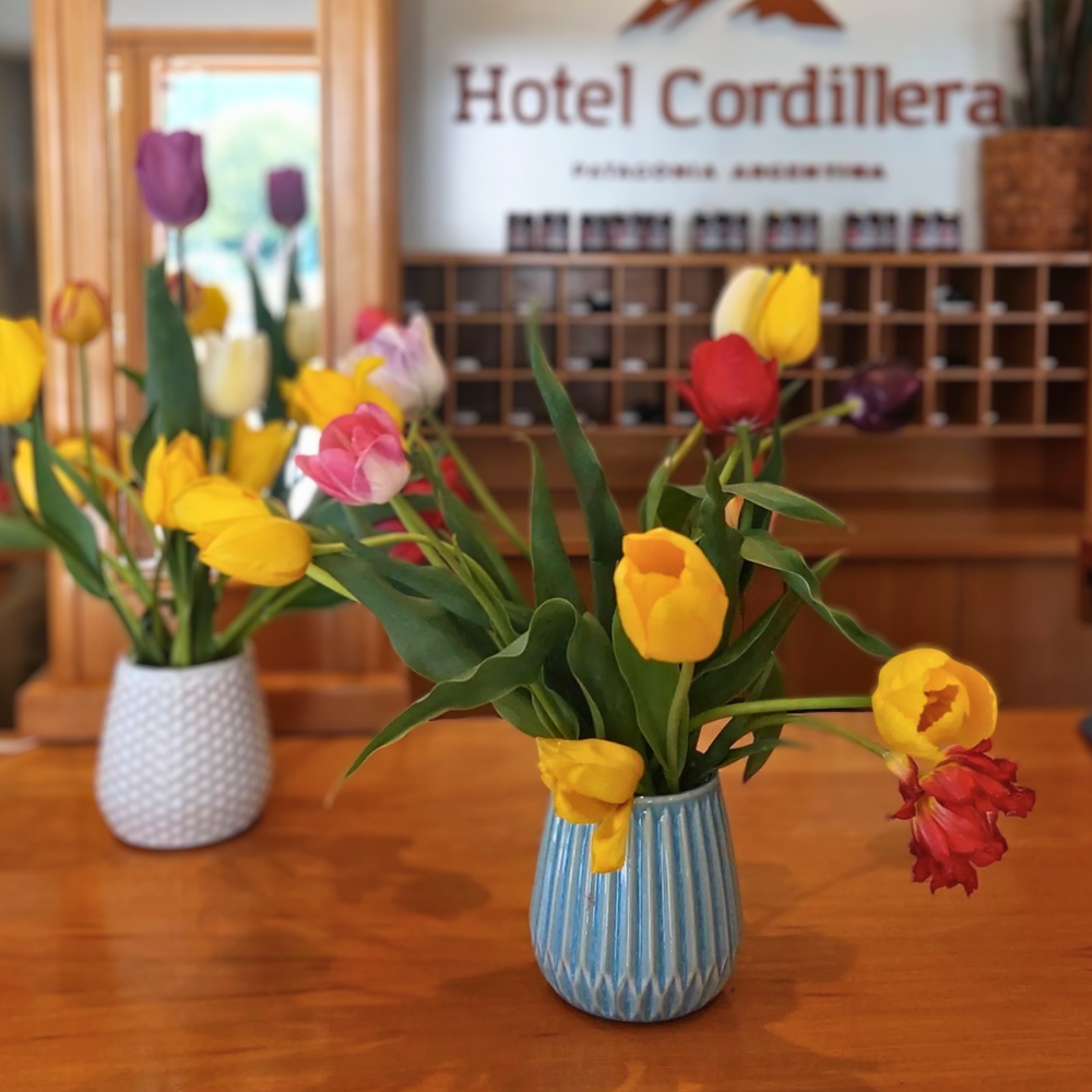 MAXI WEEK Hotel Cordillera