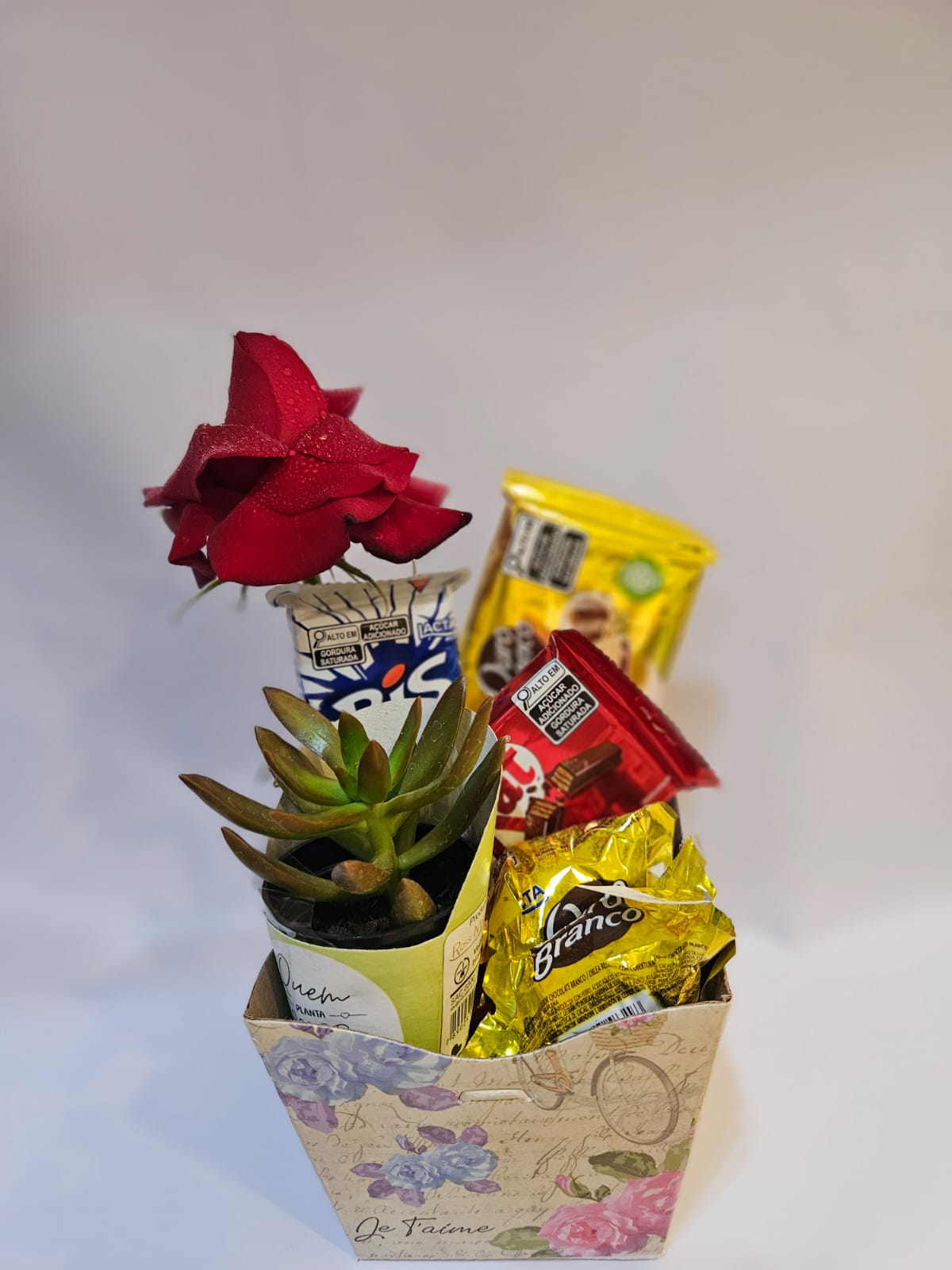 Kit Presente com Suculenta e Chocolates