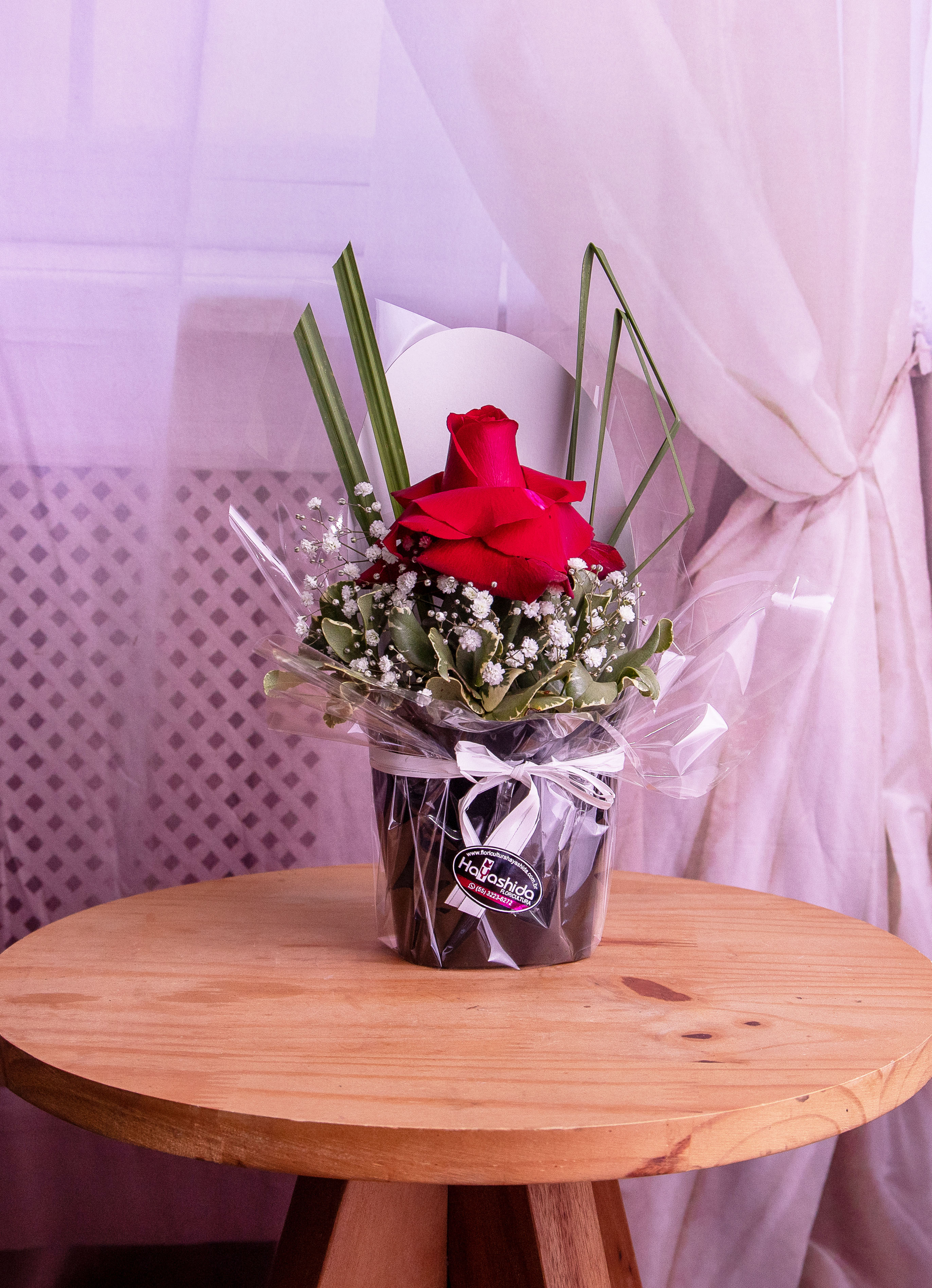 Cover Glamour com Uma Rosa Vermelha
