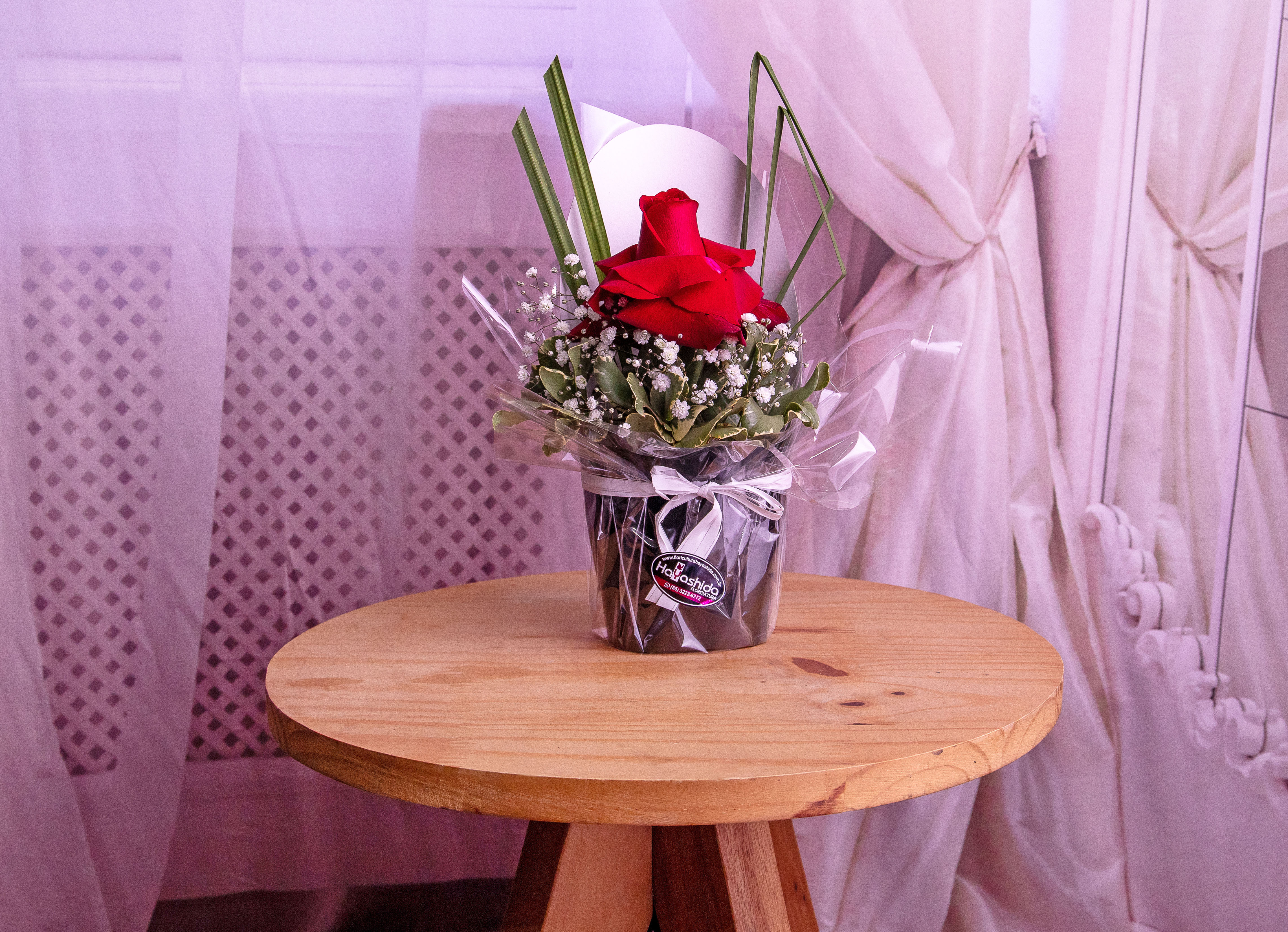Cover Glamour com Uma Rosa Vermelha