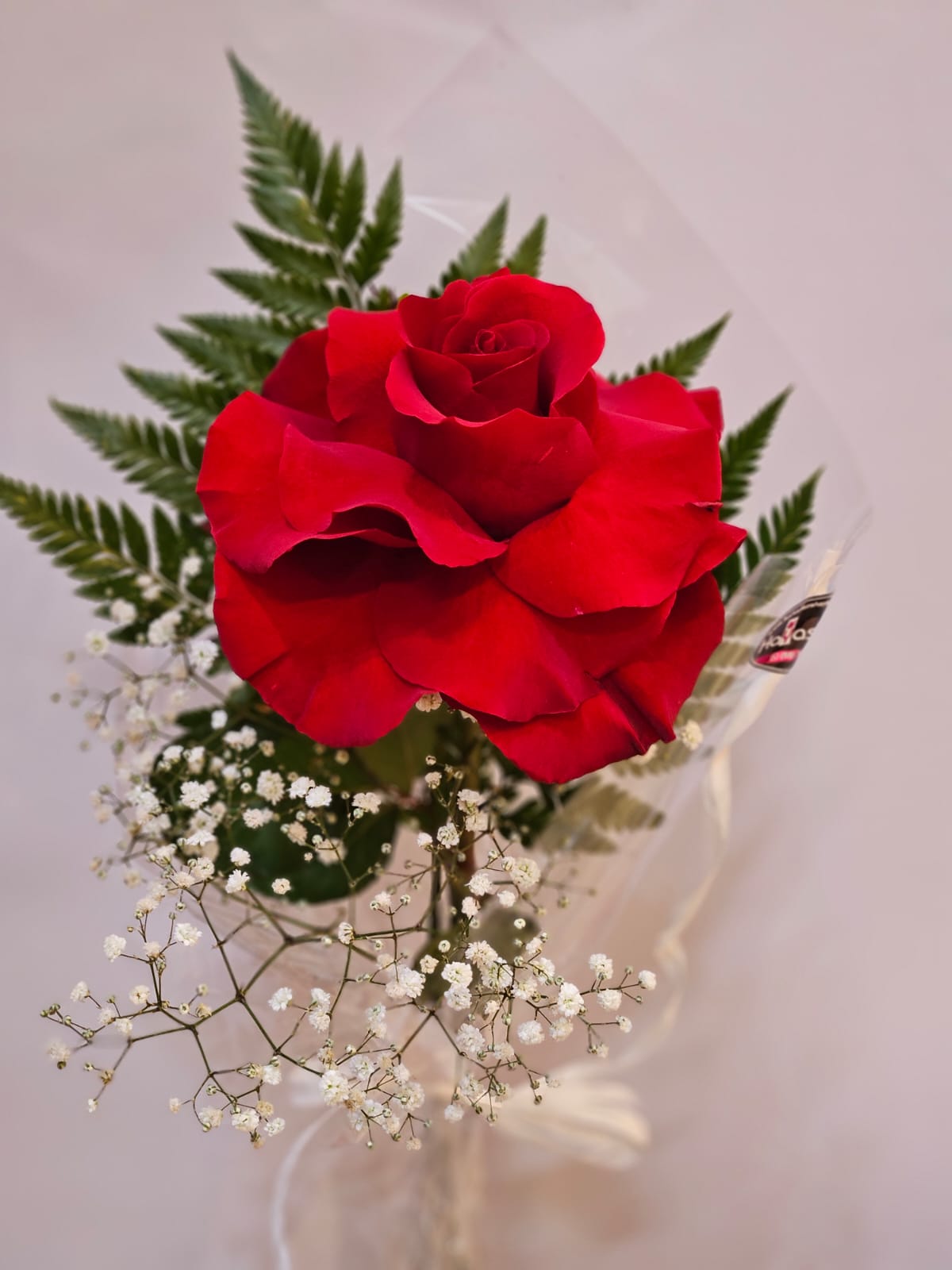 Rosa embalada com verdes.