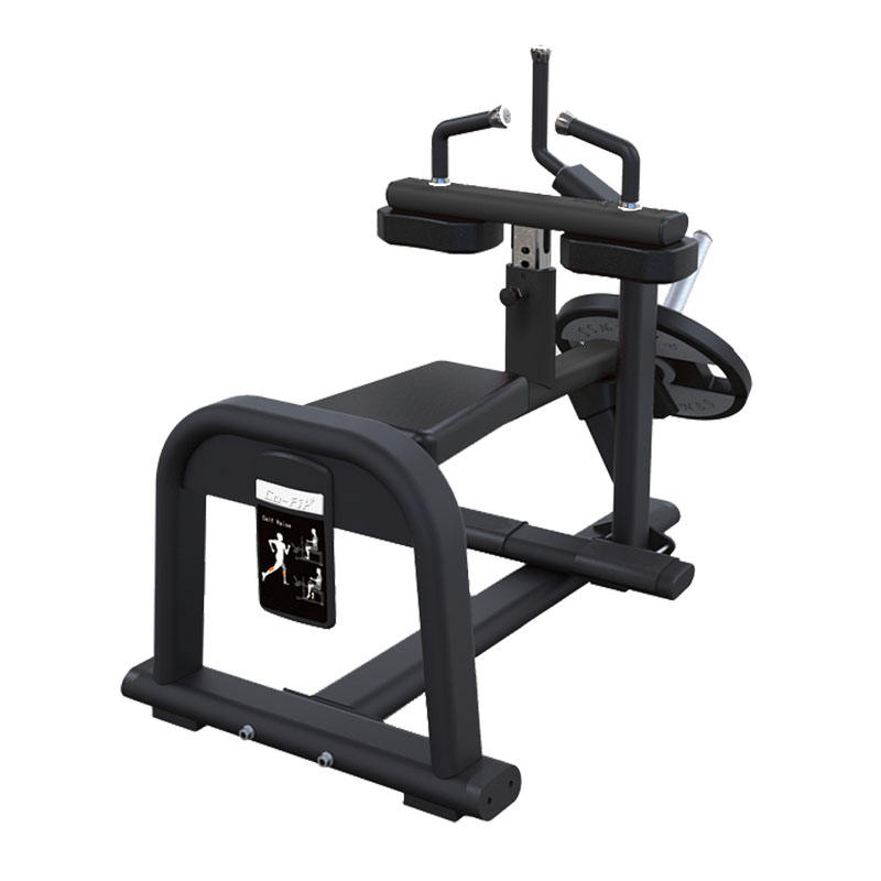 Máquina Pantorrila Sentado