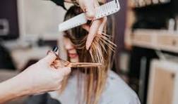 Repeat Women Trim (Same previous haircut & blowdry/style)