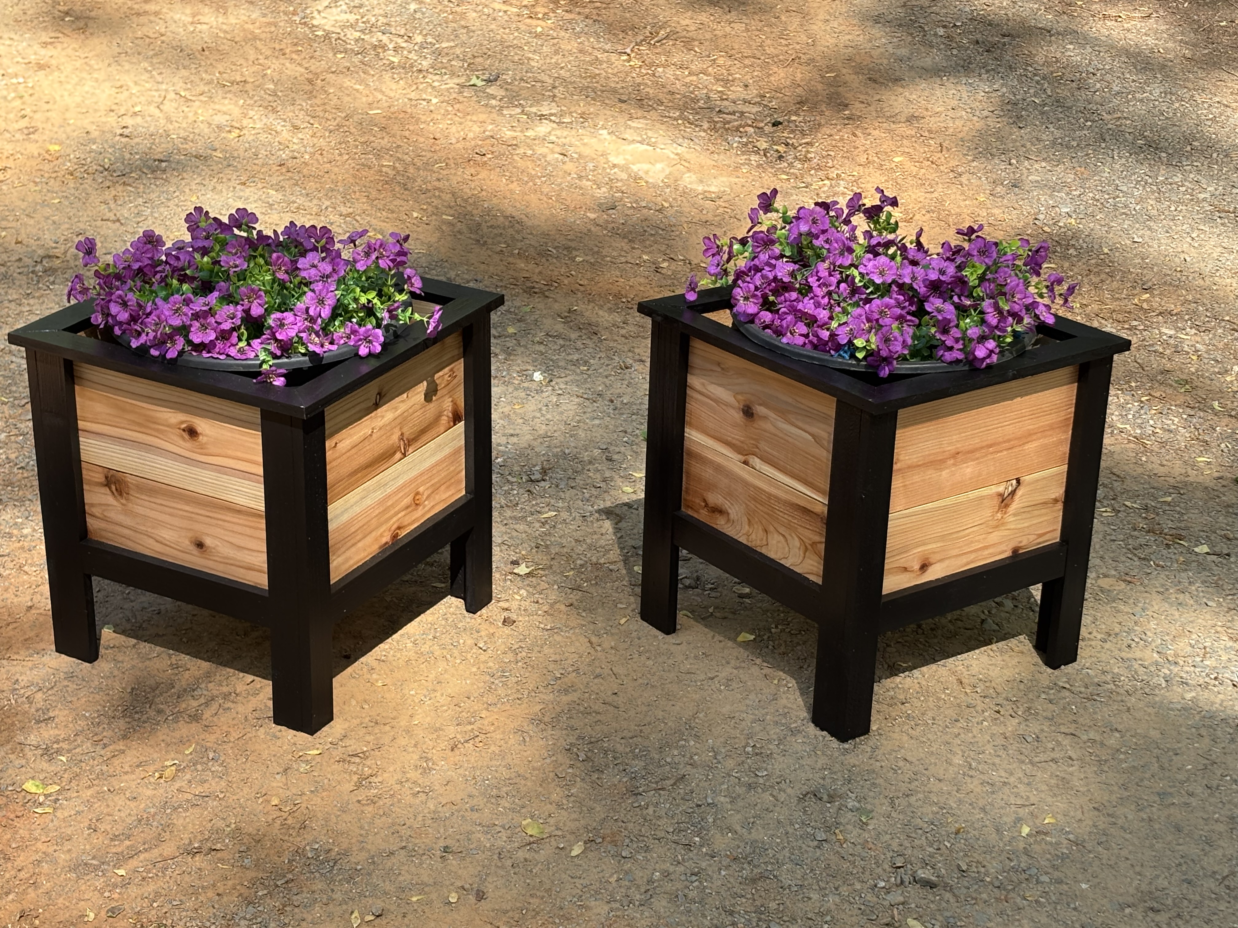 Cedar Planter set with painted trim