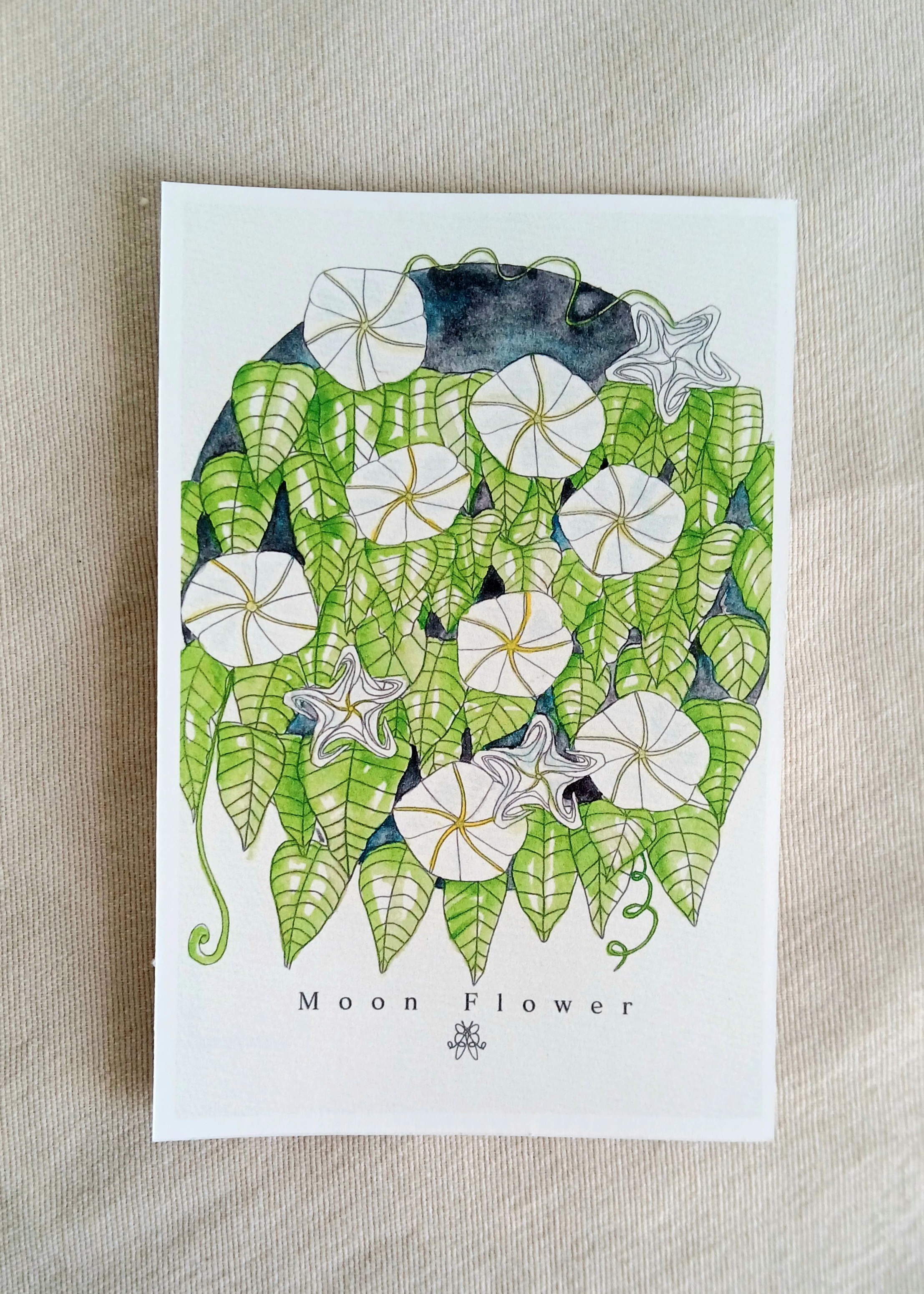 "Moon Flower"