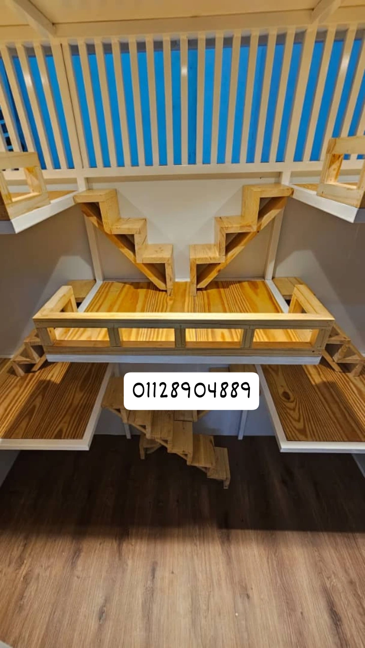 Rumah Kucing Premium