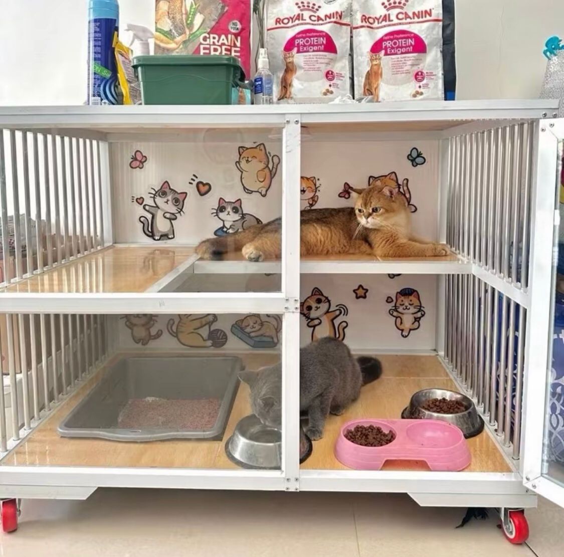 Sangkar Kucing Moden