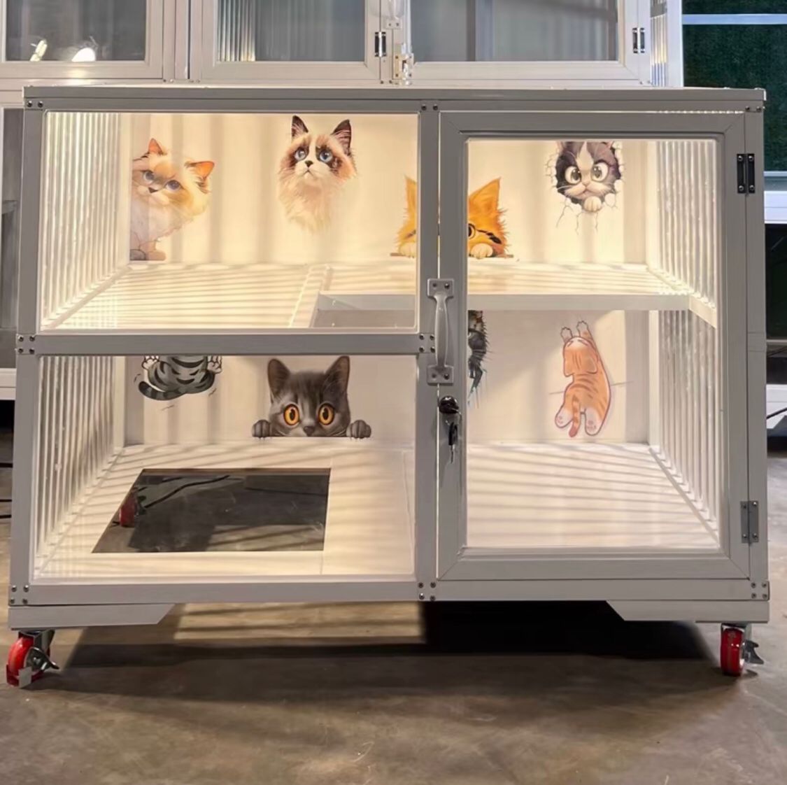 Sangkar Kucing Moden