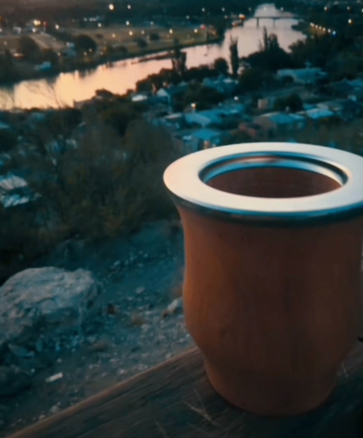 CAMIONERO DE  ALGARROBO