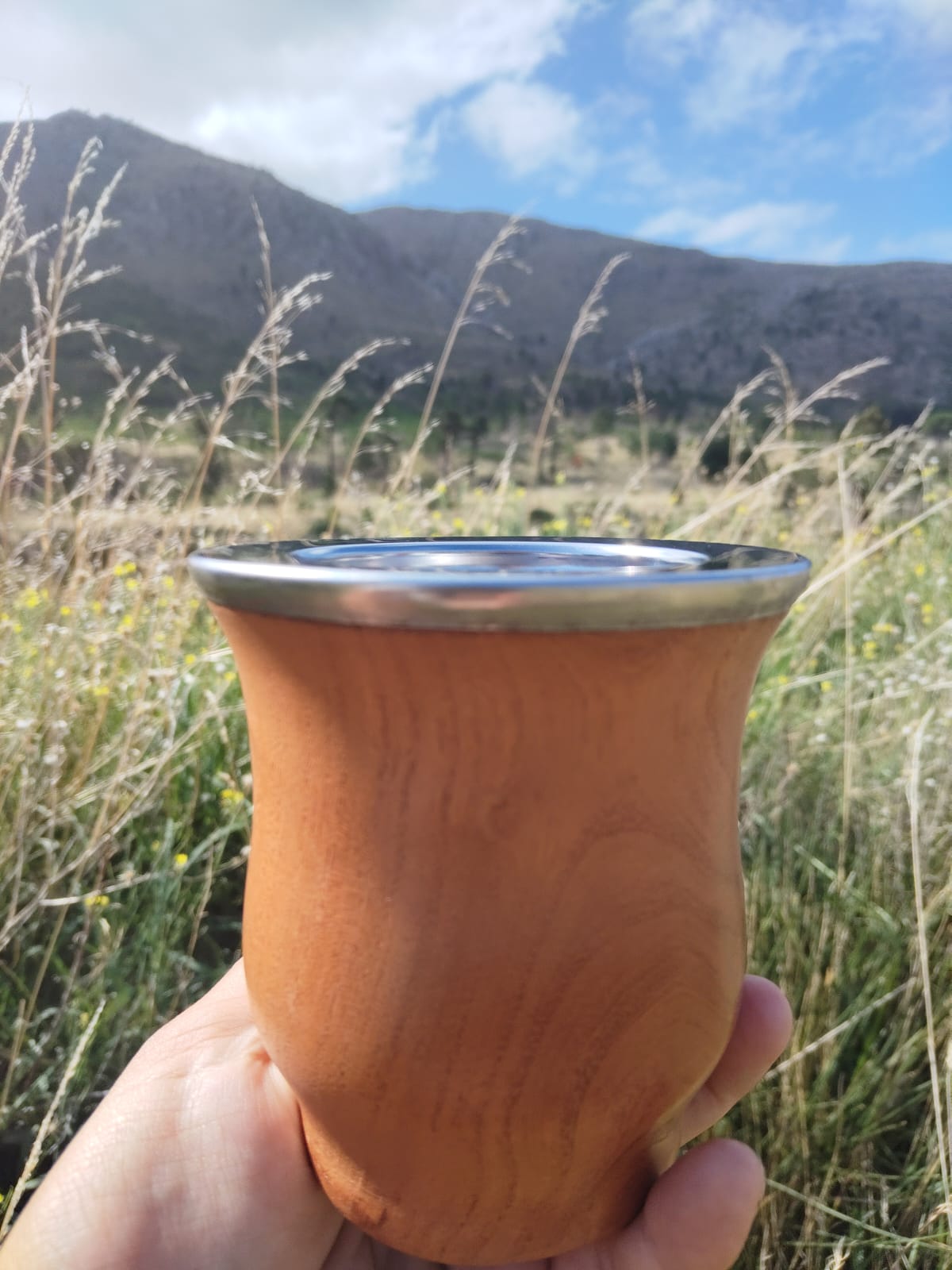 CAMIONERO DE  ALGARROBO