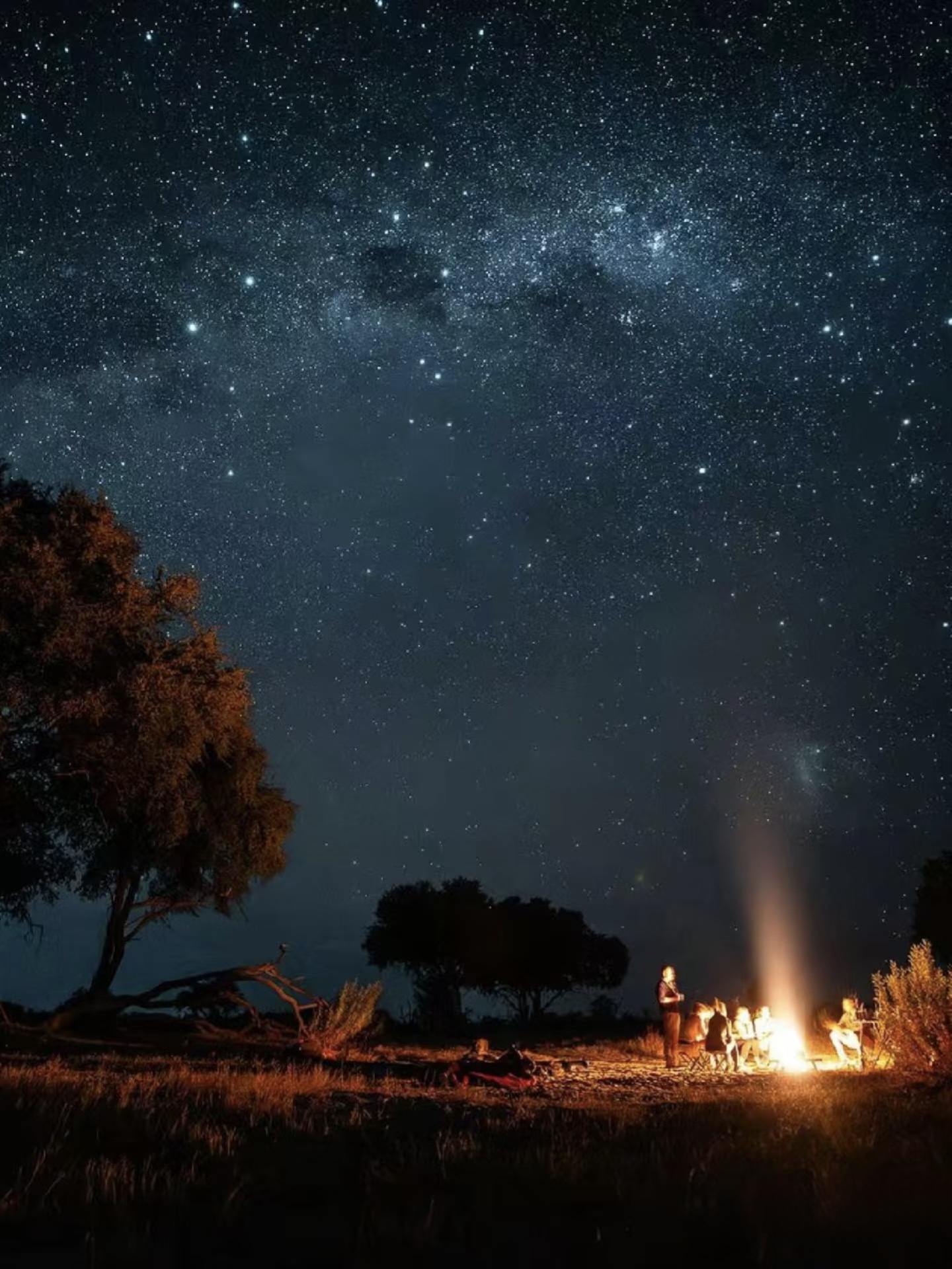 Night Game Drive | Discover the Hidden World of the Wild