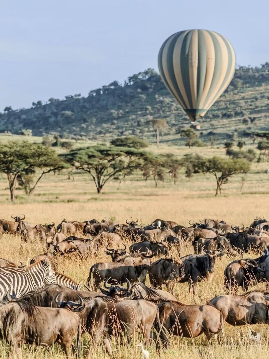 Serengeti Hot Air Balloon Safari | Sunrise Flight & Champagne Breakfast