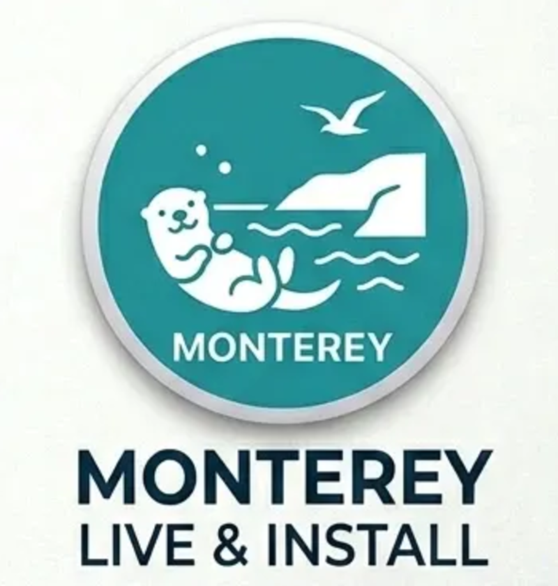 Chiavetta USB Installer macOS