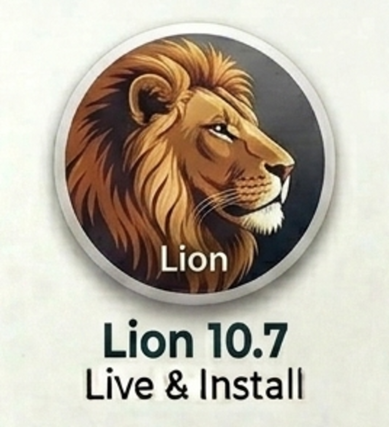 Chiavetta USB Installer macOS