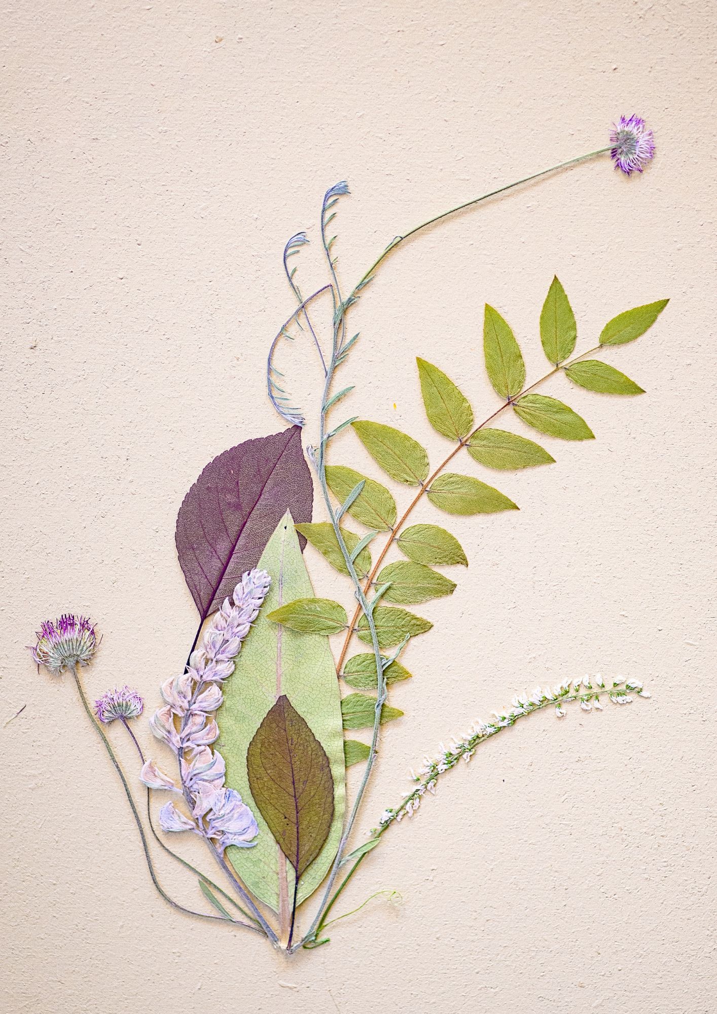 el jardín que llevas dentro ✸ sábado 19 de abril