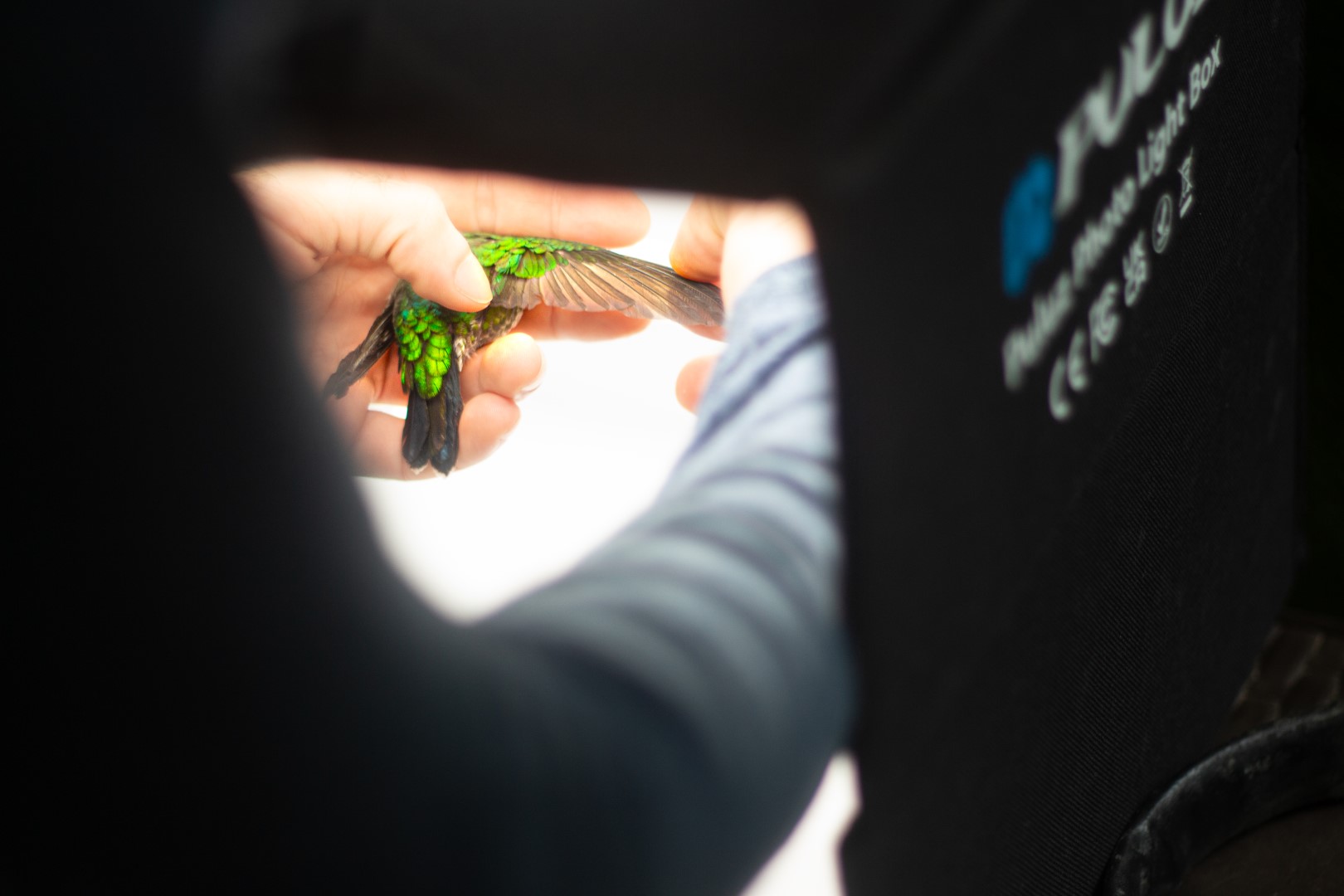 Support our Conservation efforts