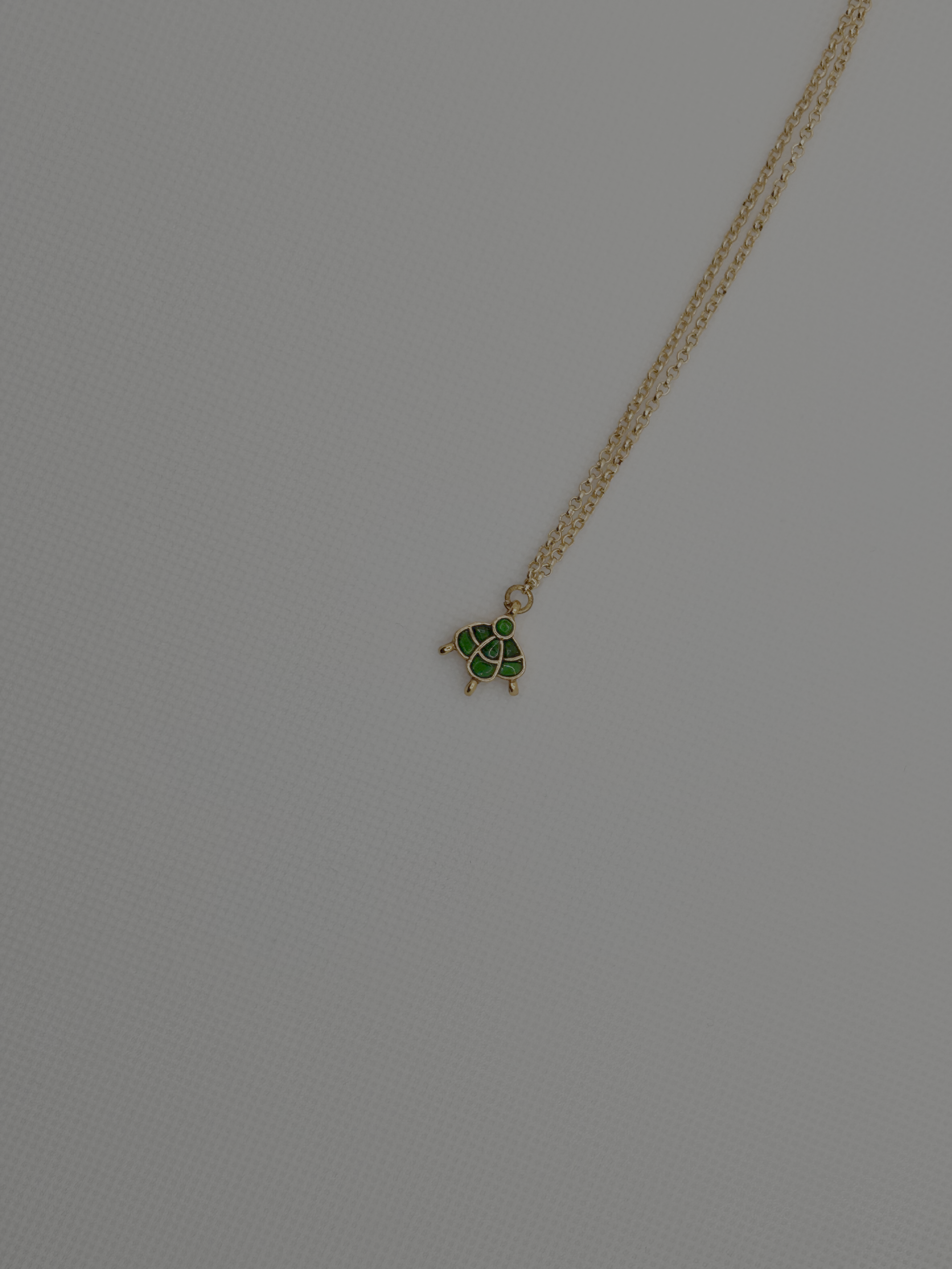 Turtle Charm Necklace