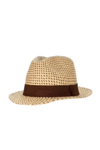 Chapeau Panama Fedora – Tissage Bicolore & Bord Court