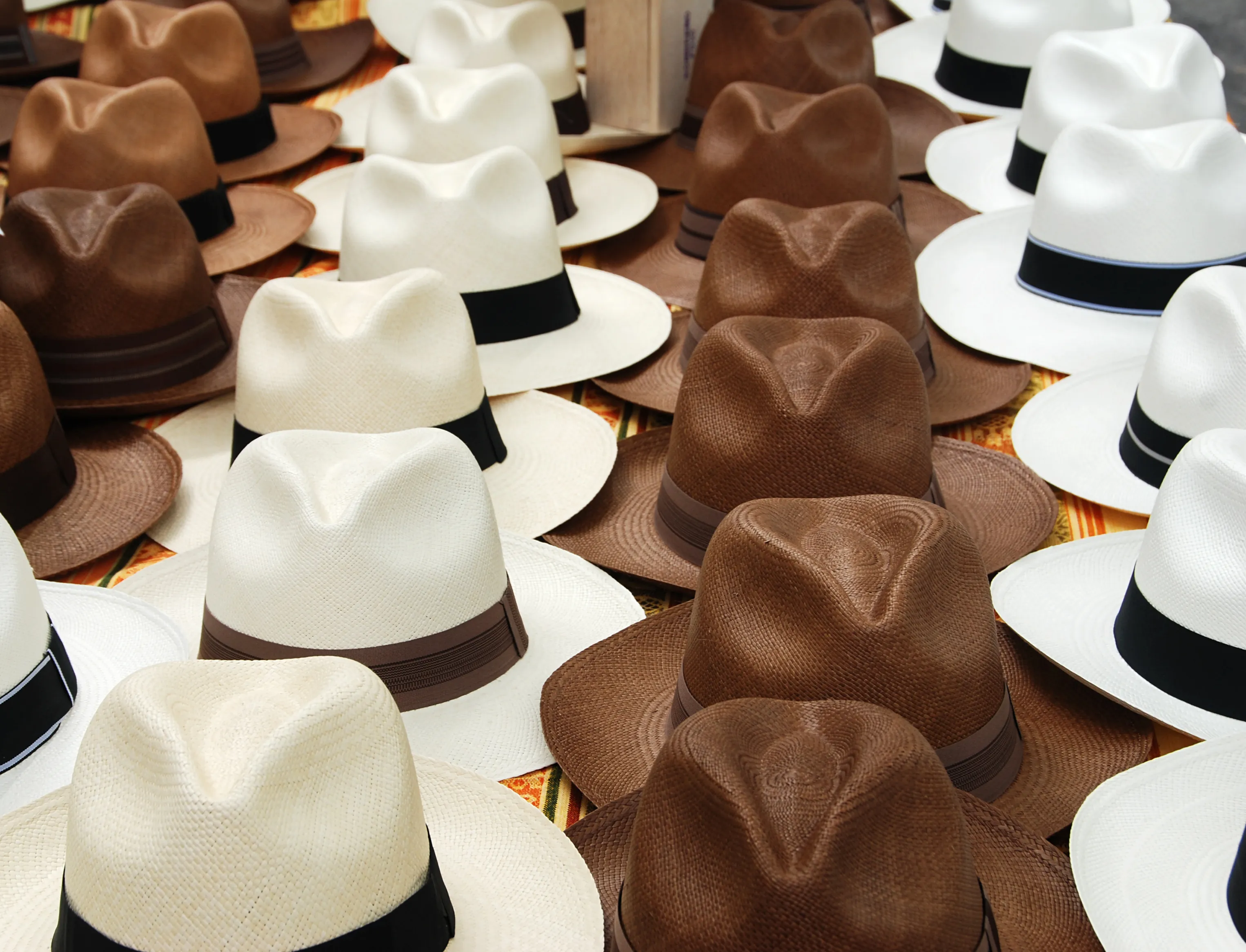 Chapeau Panama Marron Chocolat 